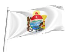 Paraná Flag for Indoor & Outdoor Use