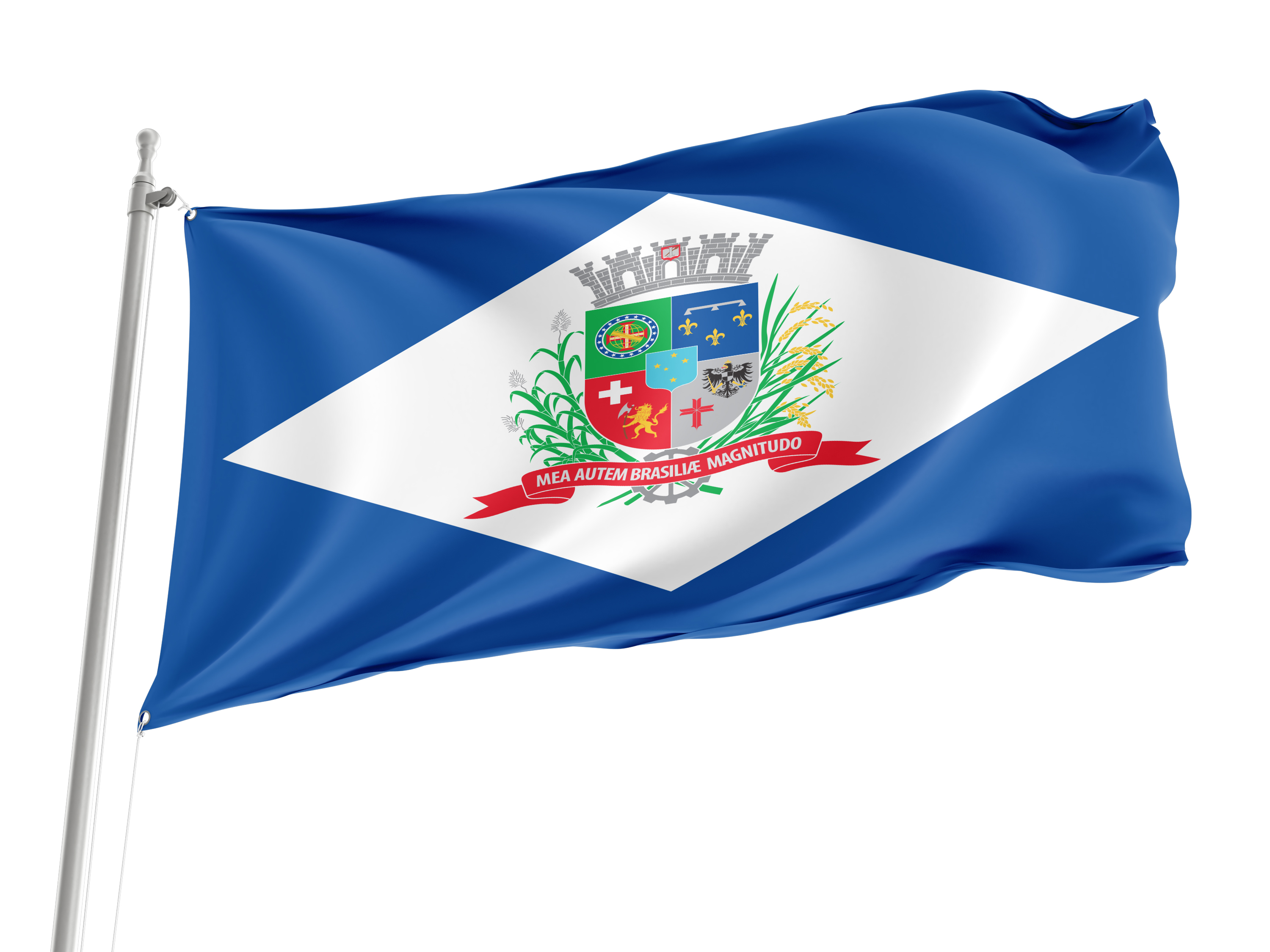 Joinville Flag for Indoor & Outdoor Use
