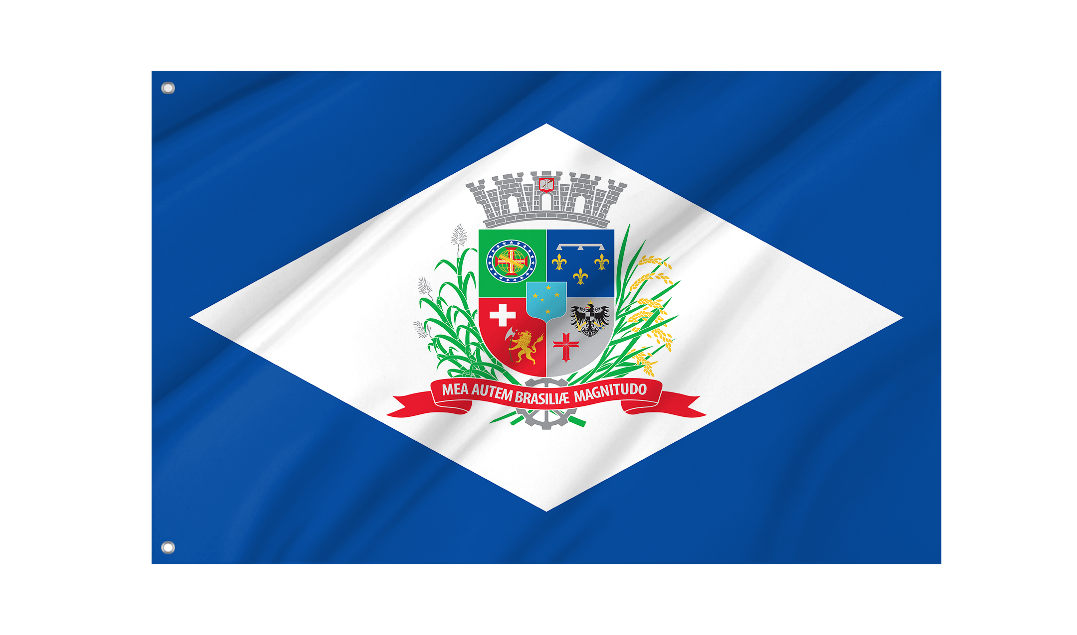 Joinville Flag for Indoor & Outdoor Use