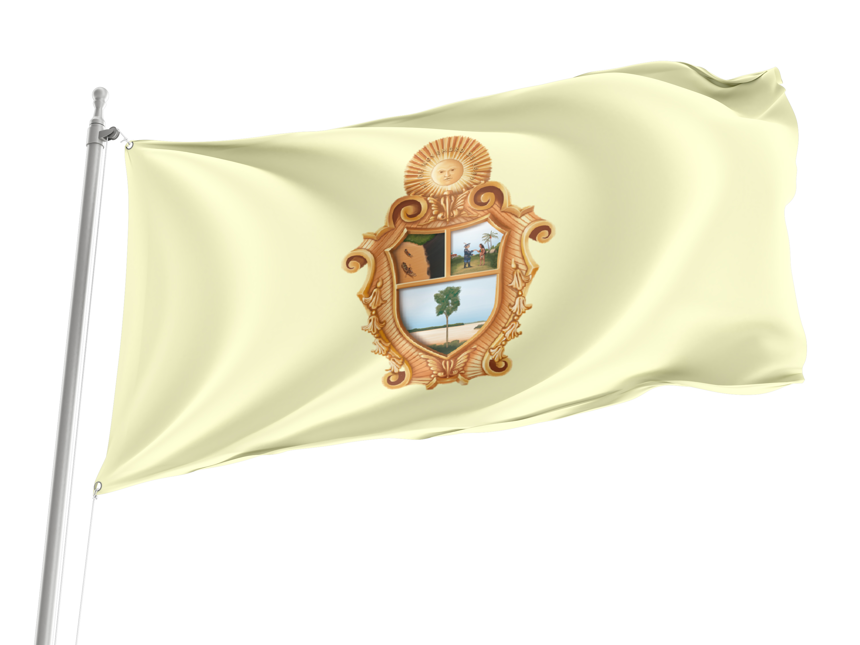 Manaus Flag for Indoor & Outdoor Use