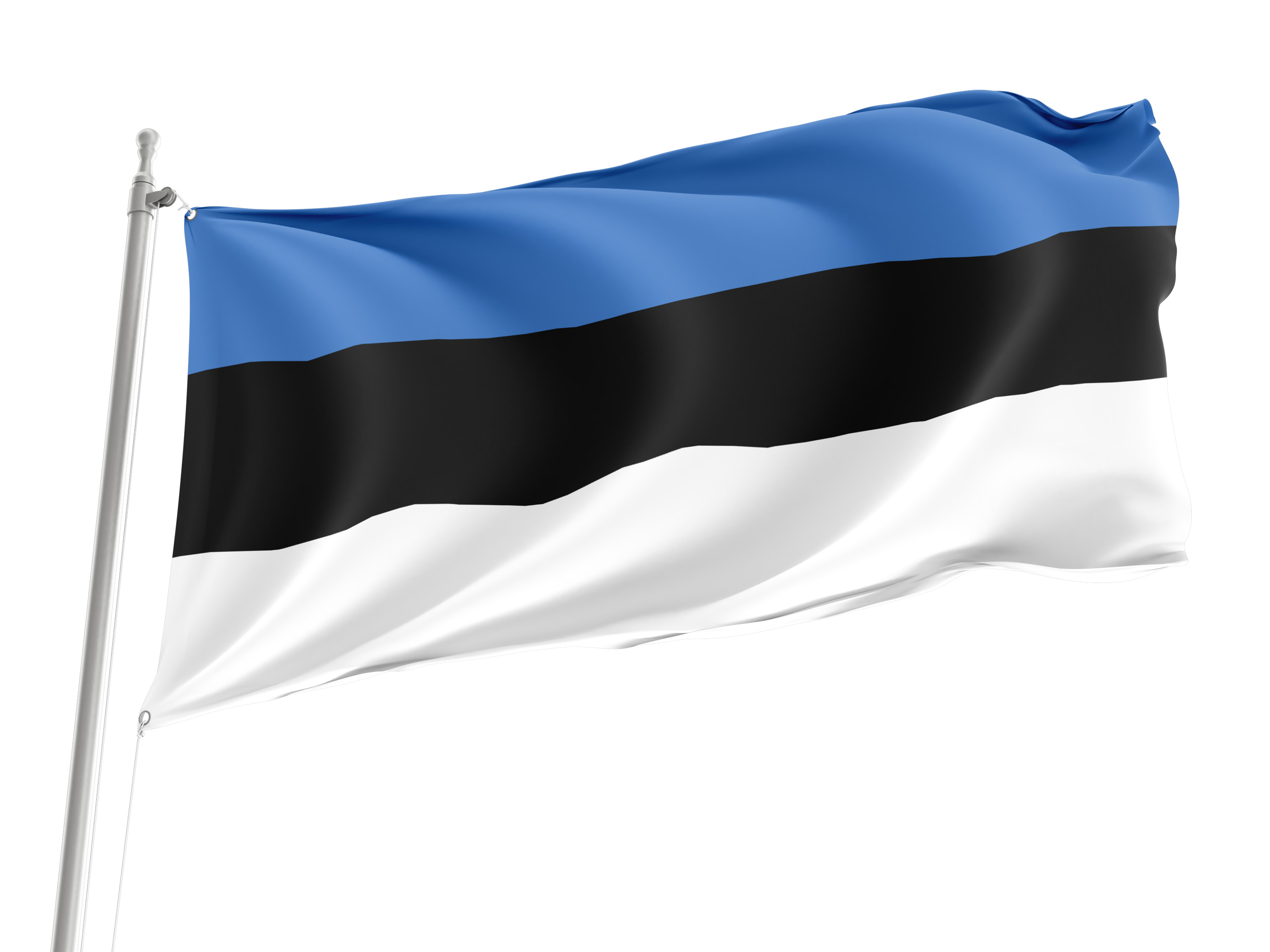 Estonia Flag for Indoor & Outdoor Use