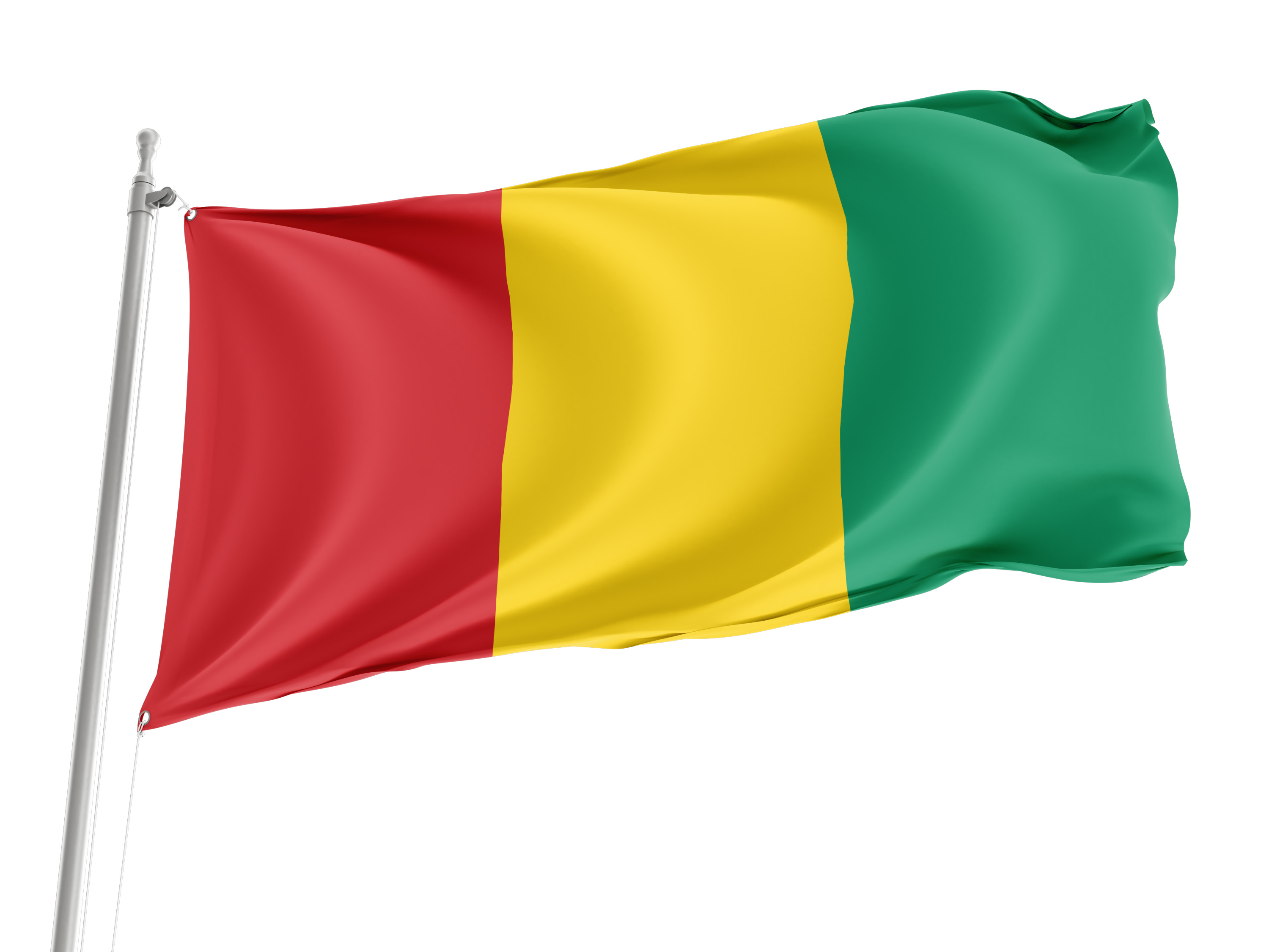 Guinea Flag for Indoor & Outdoor Use