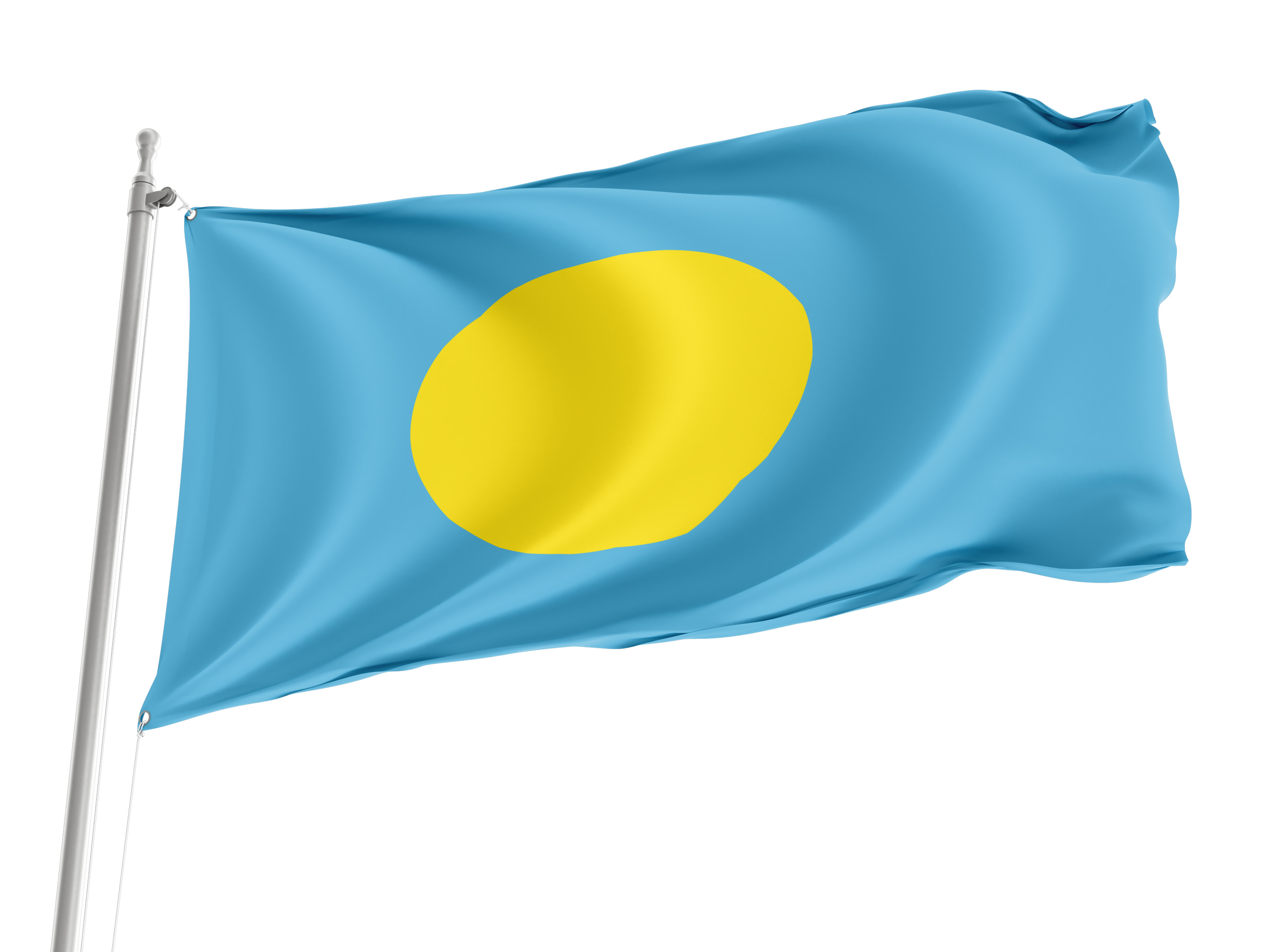 Palau Flag for Indoor & Outdoor Use