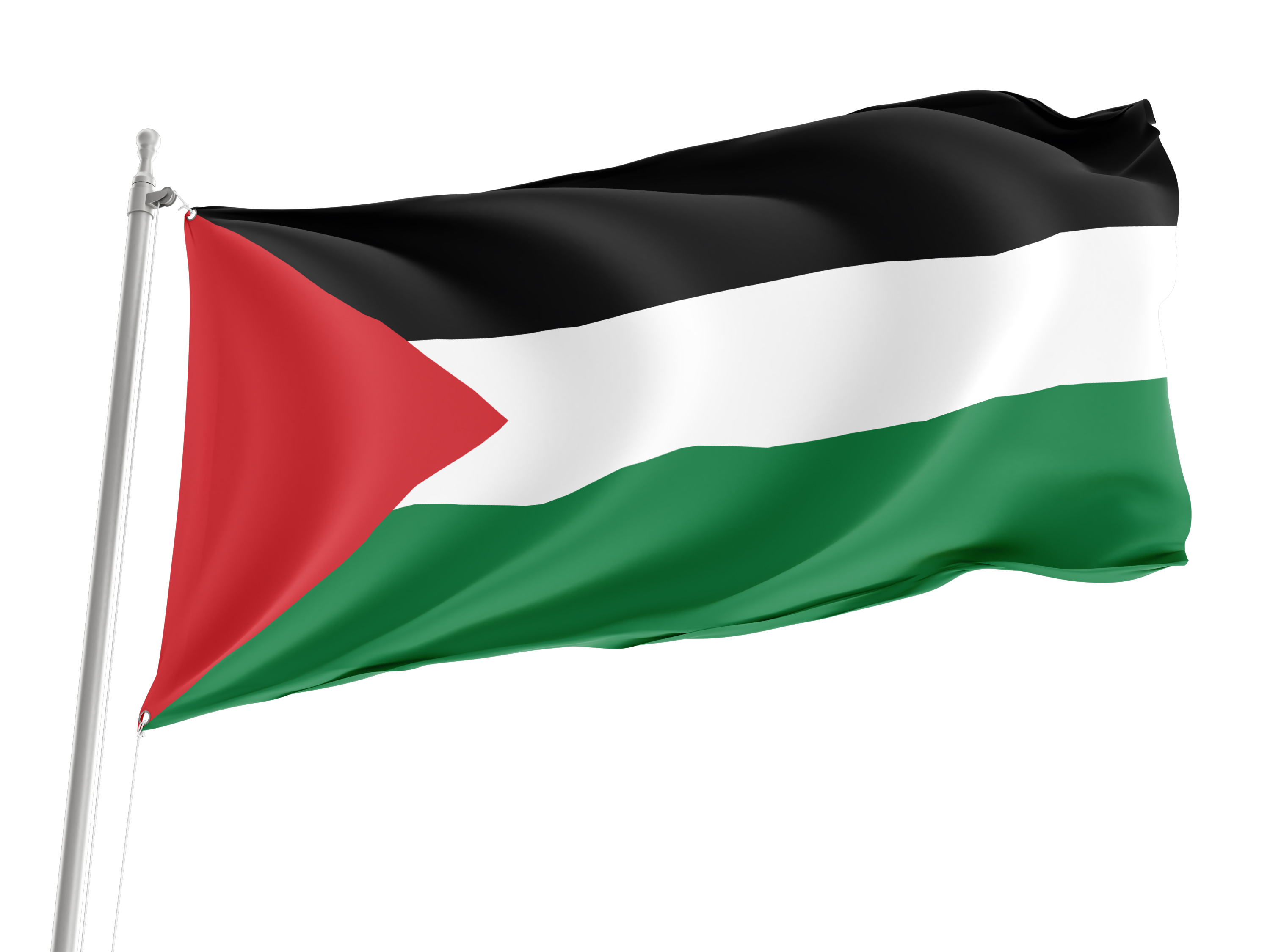 Palestine Flag for Indoor & Outdoor Use