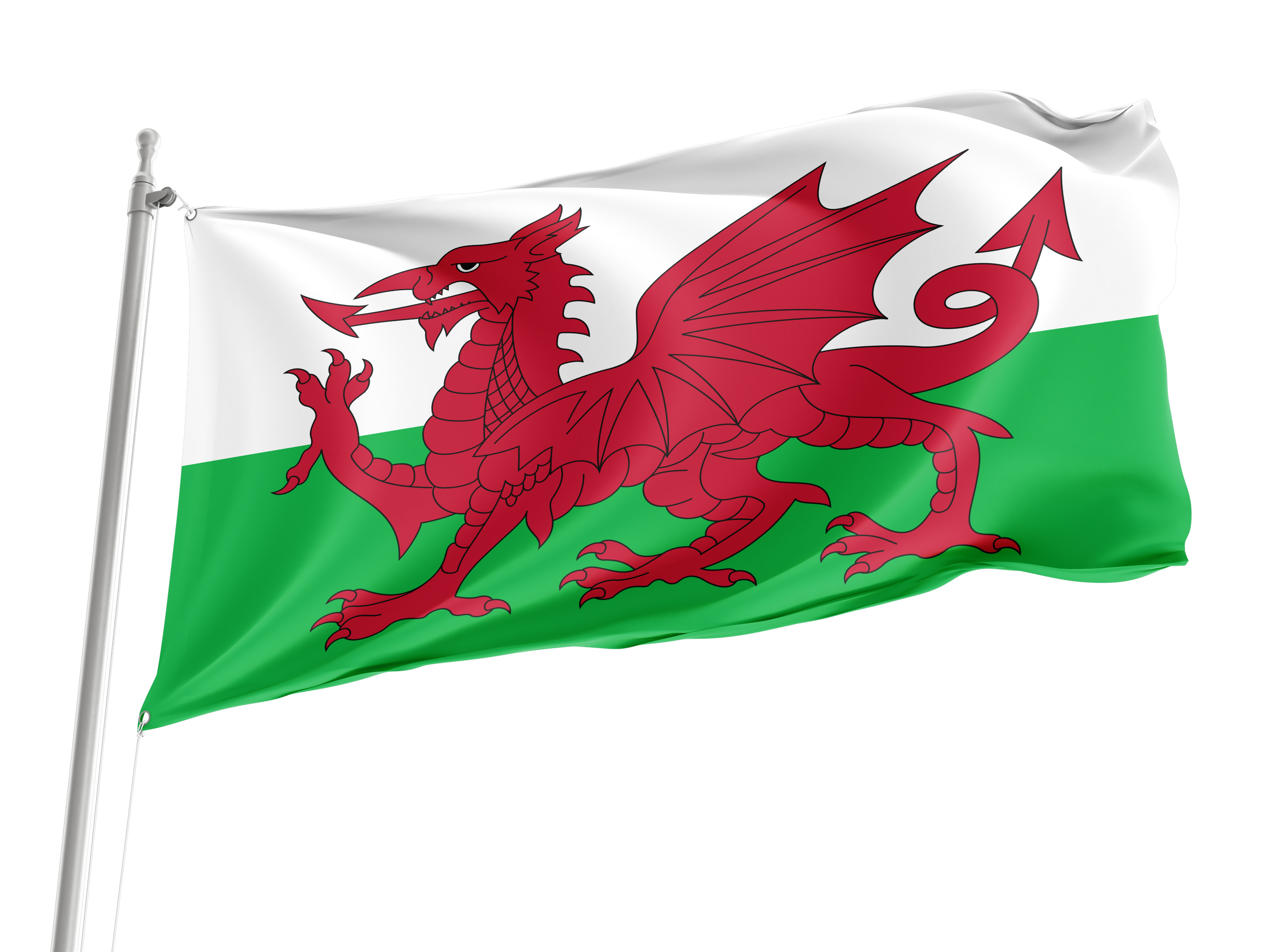 Wales Flag for Indoor & Outdoor Use
