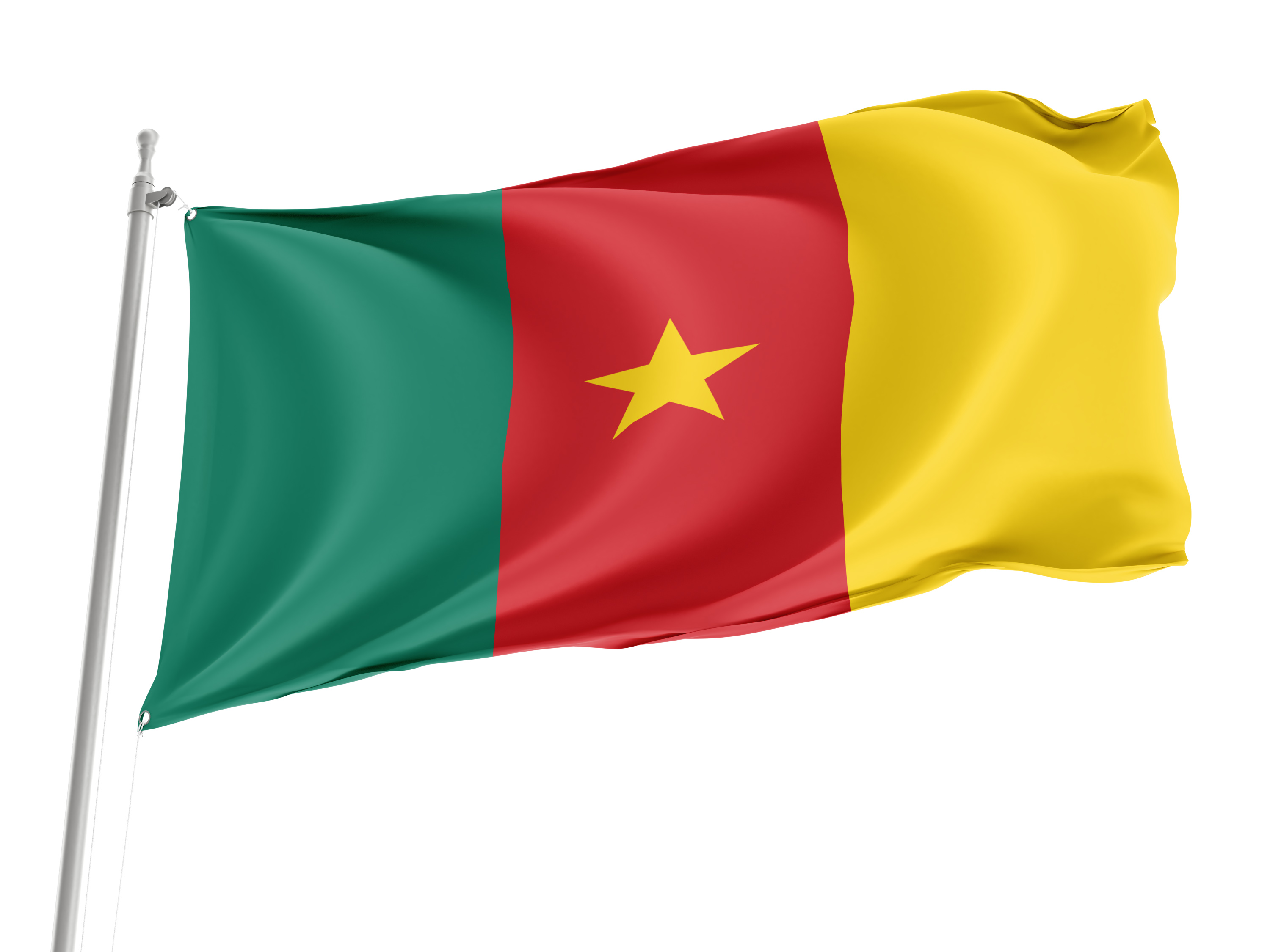 Cameroon Flag for Indoor & Outdoor Use