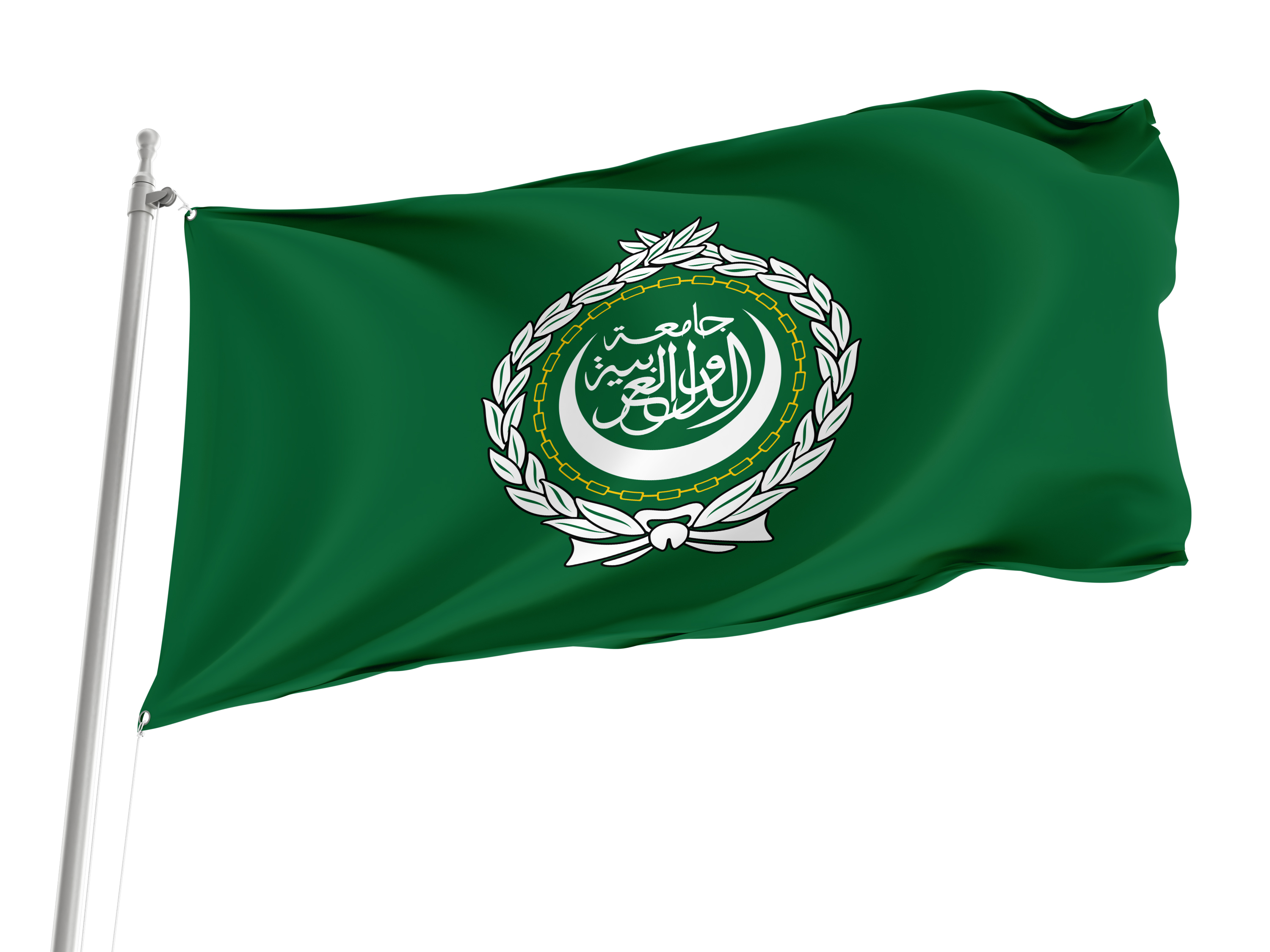 Arab League Flag for Indoor & Outdoor Use