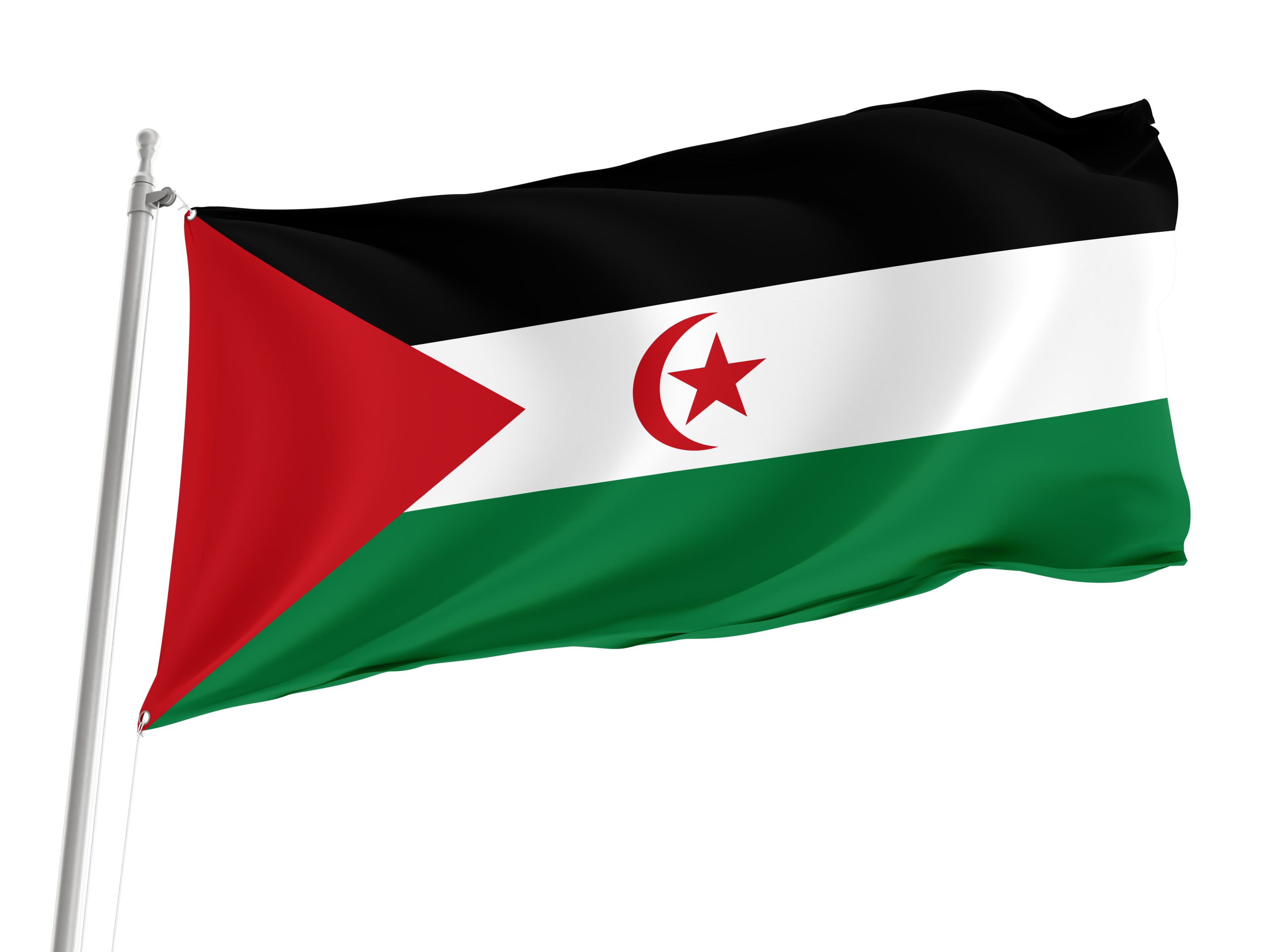 Western Sahara Flag for Indoor & Outdoor Use
