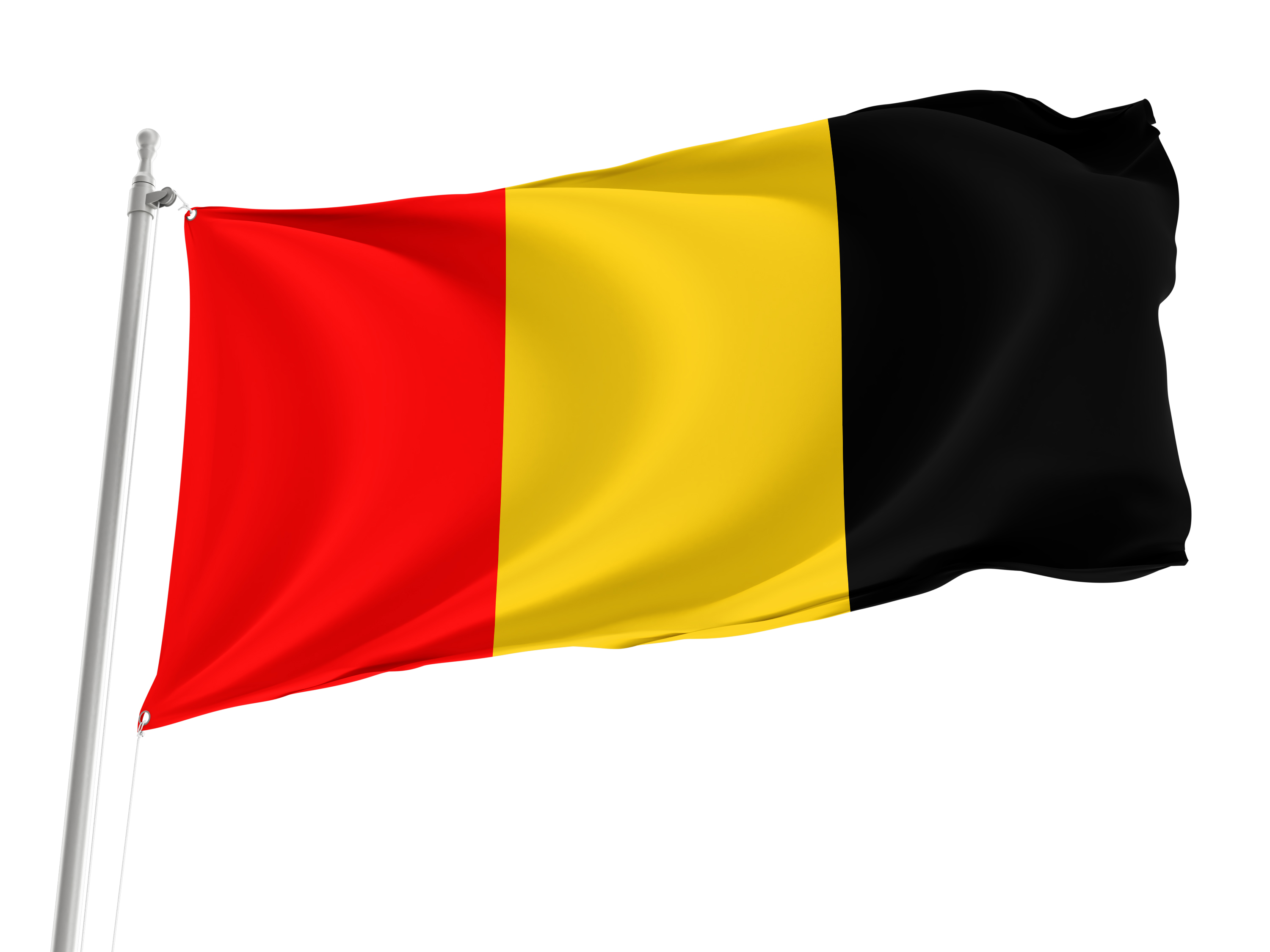 Besançon Flag for Indoor & Outdoor Use
