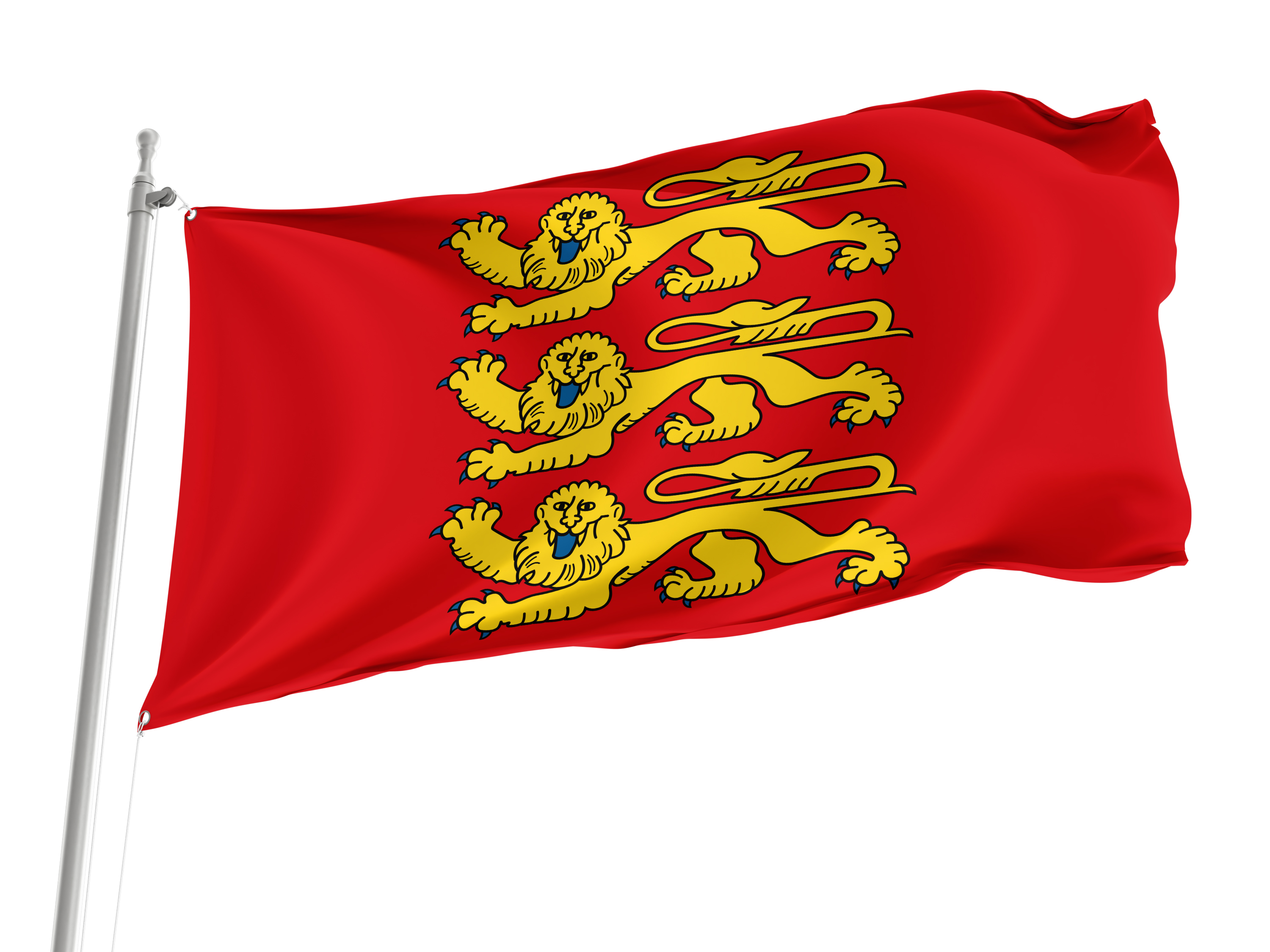 Normandy Region in France Flag for Indoor & Outdoor Use