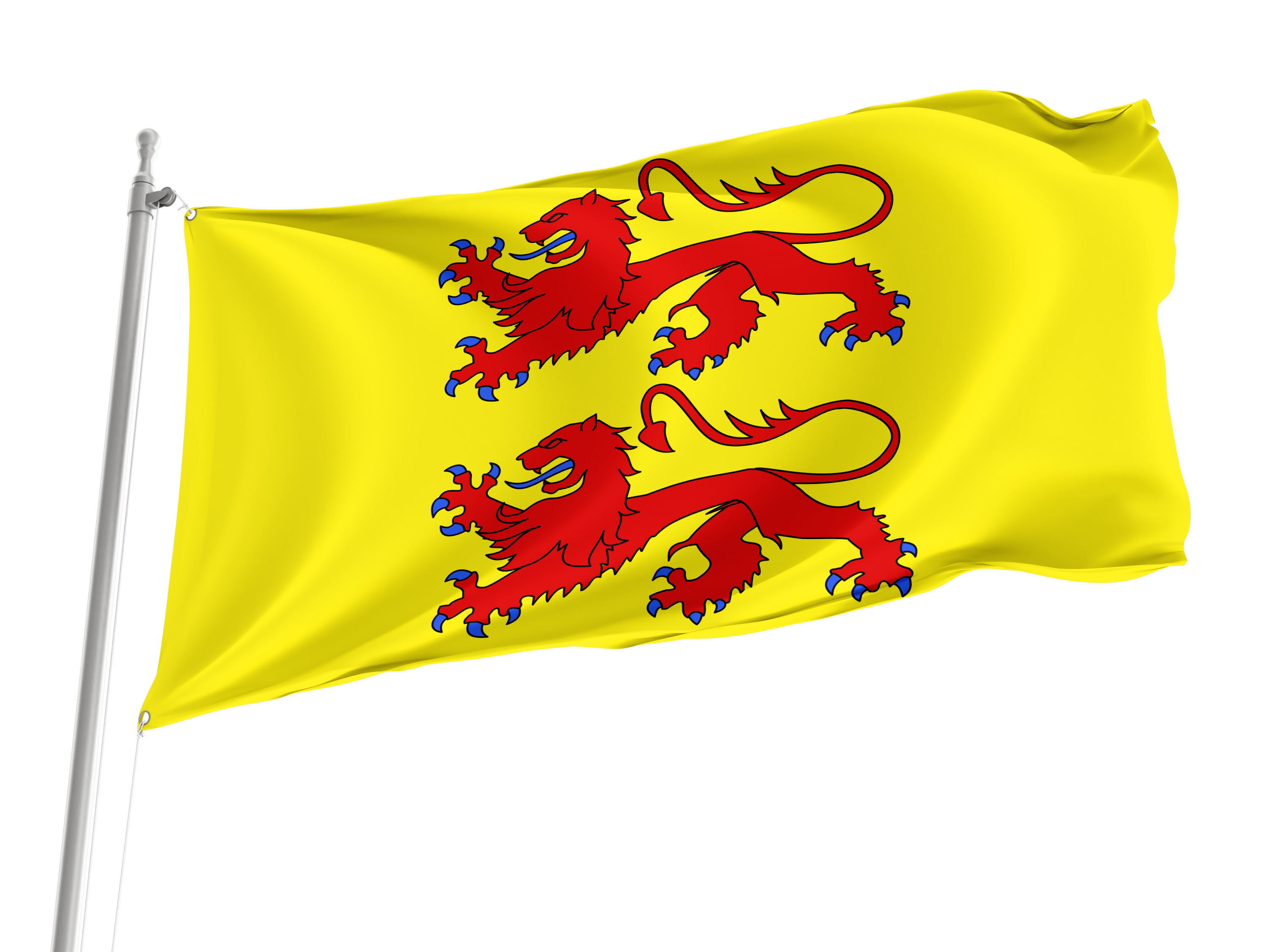 Hautes Pyrénées Flag for Indoor & Outdoor Use