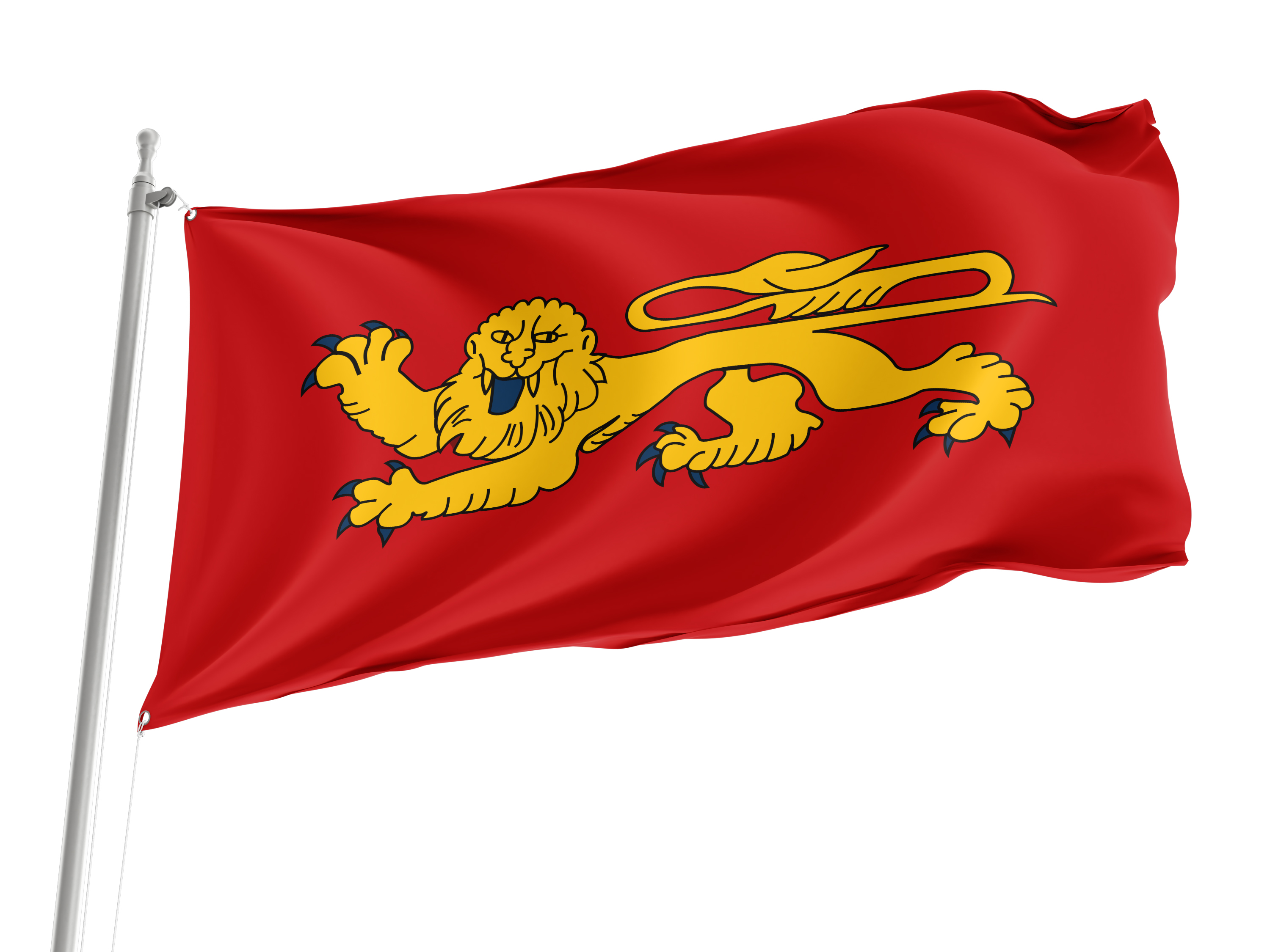 Aquitaine Flag for Indoor & Outdoor Use