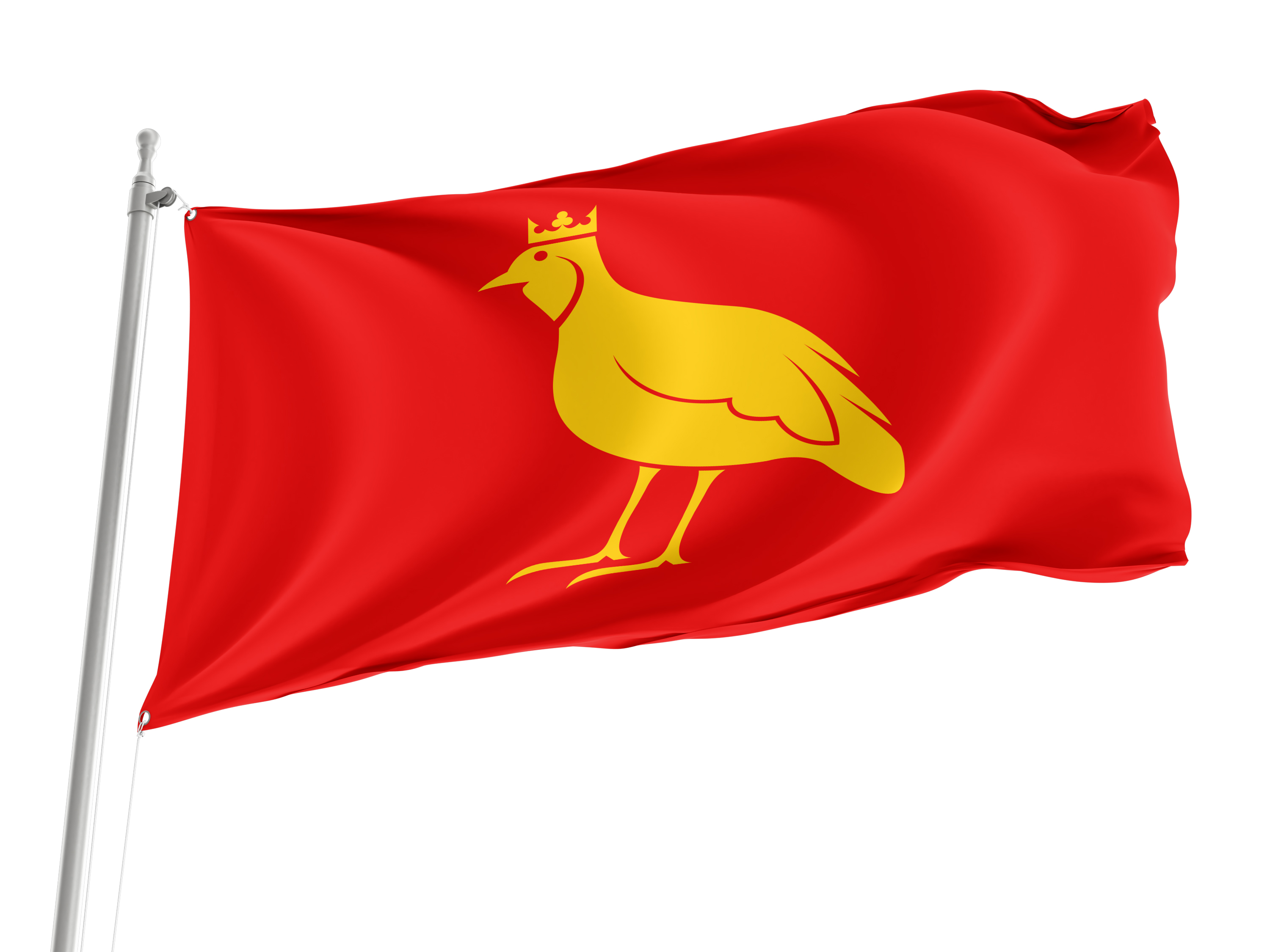Aunis Flag for Indoor & Outdoor Use