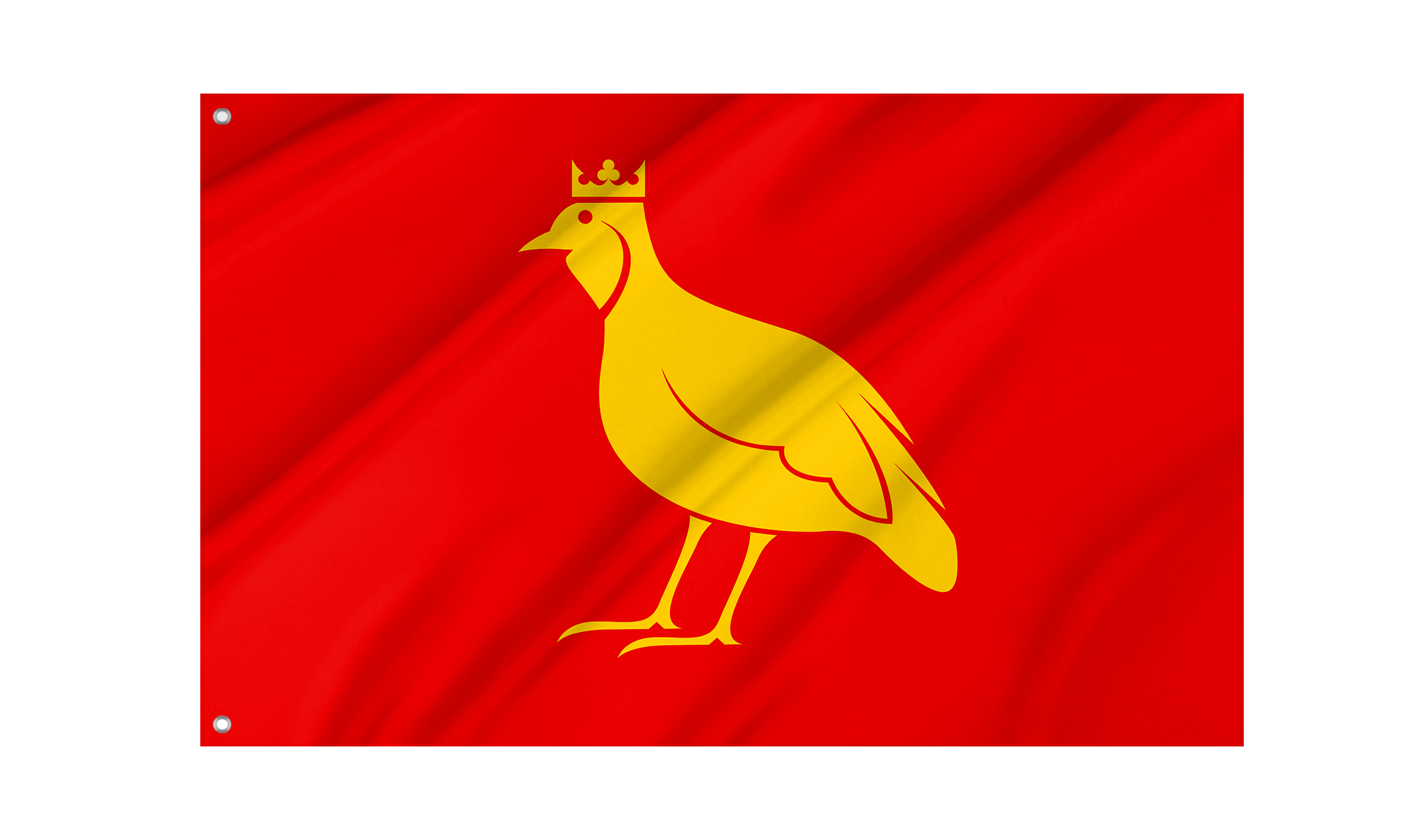Aunis Flag for Indoor & Outdoor Use
