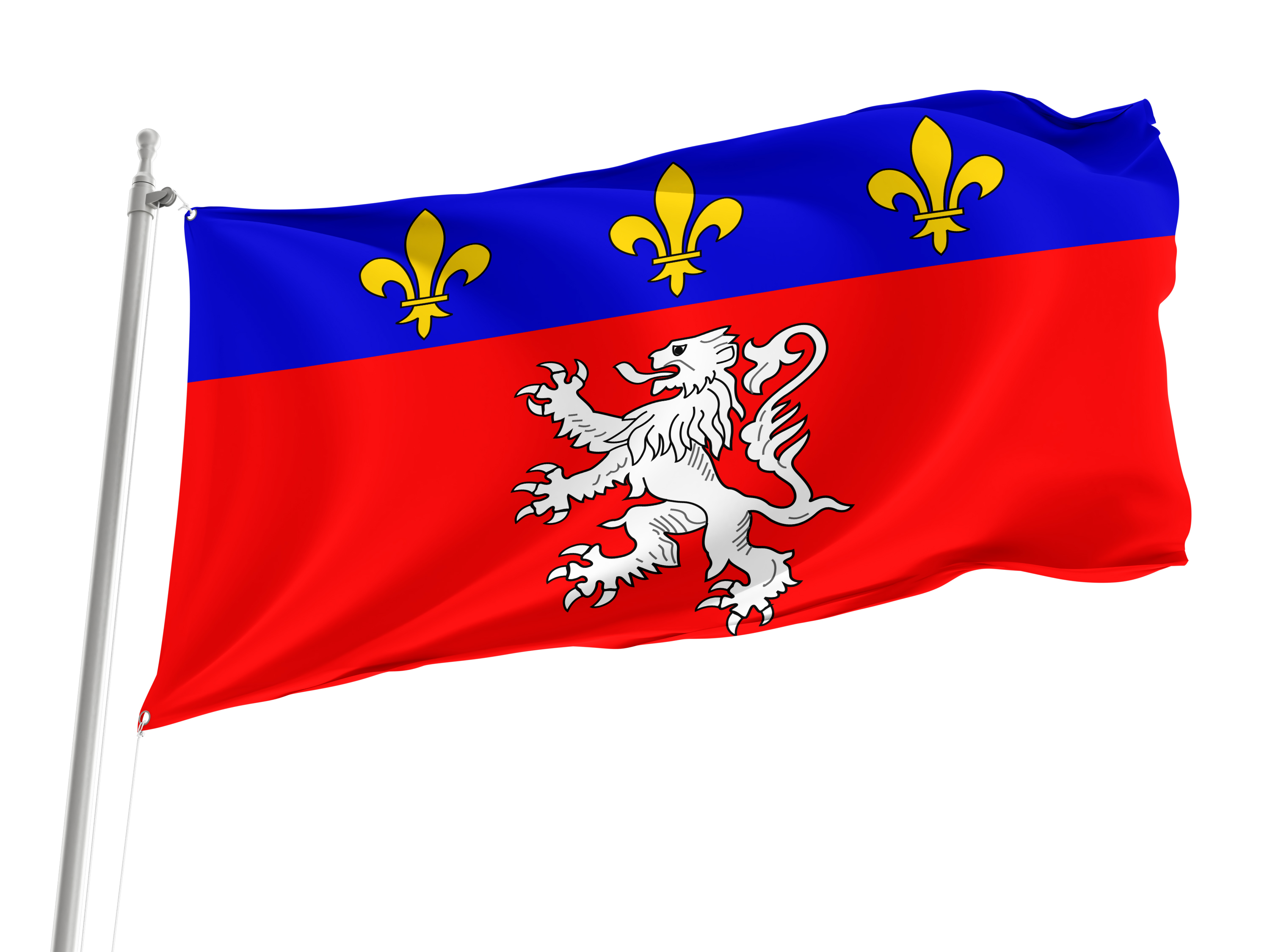 Lyon Flag for Indoor & Outdoor Use