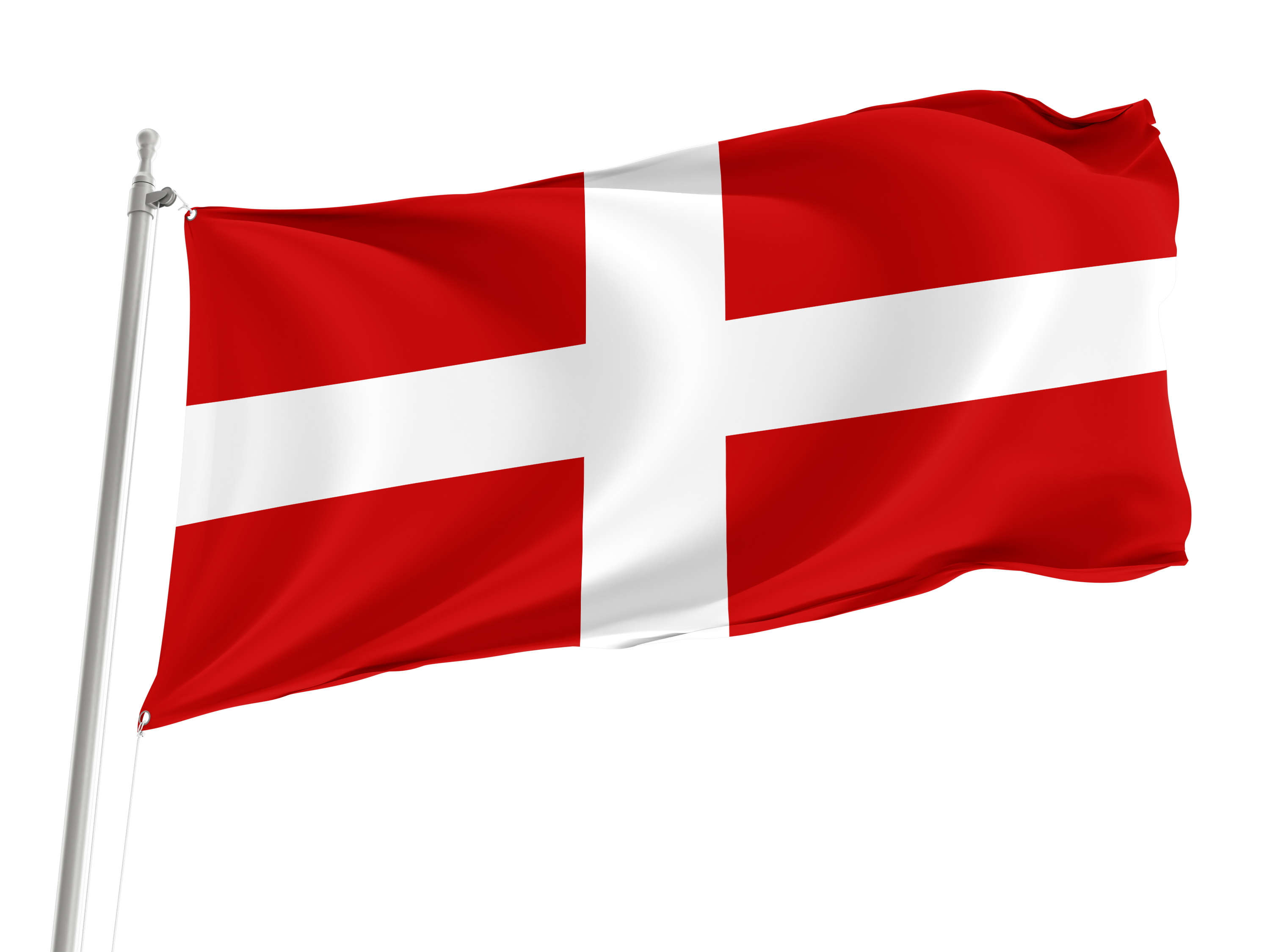 Savoy Flag for Indoor & Outdoor Use