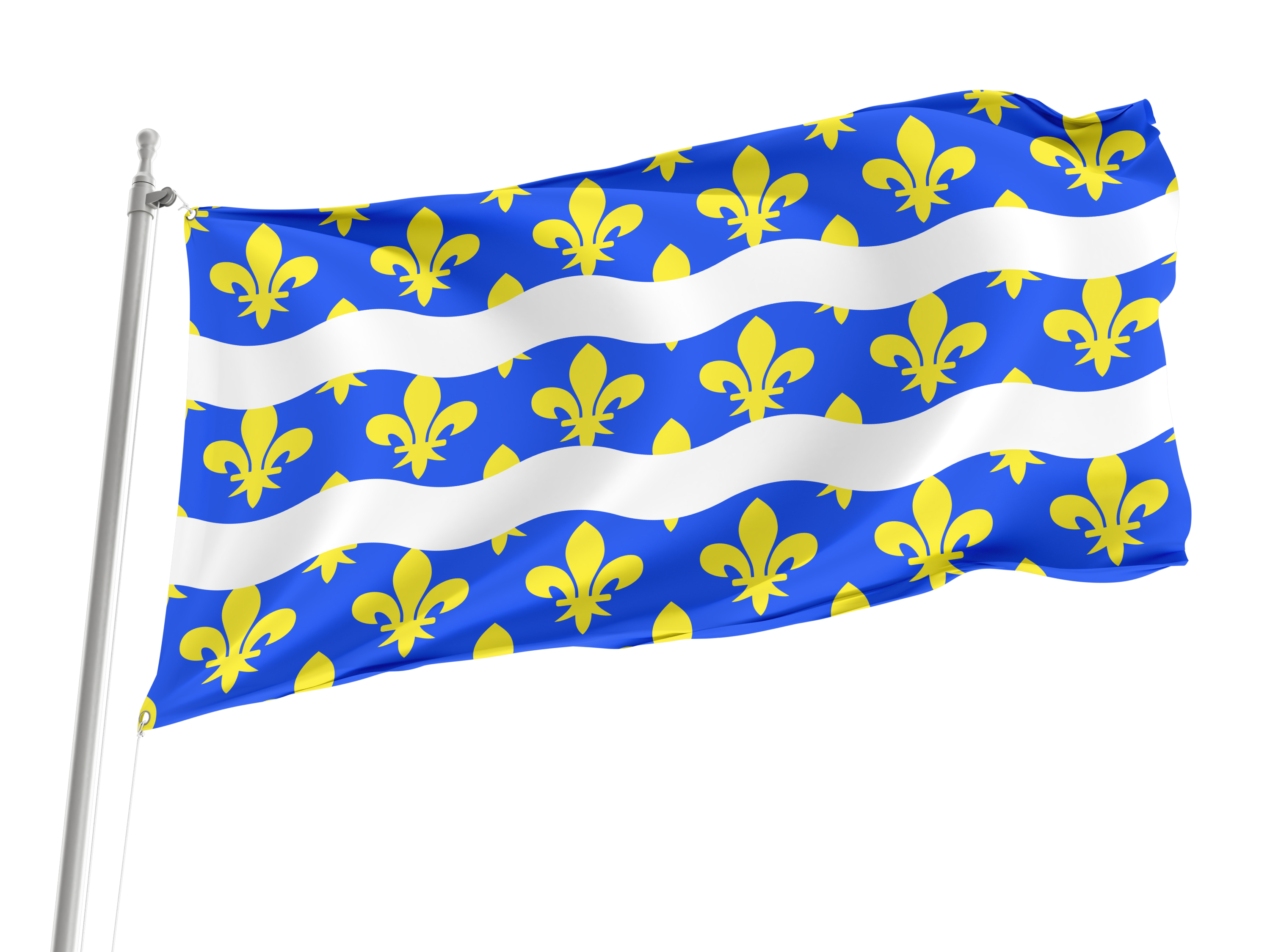 Seine et Marne Flag for Indoor & Outdoor Use