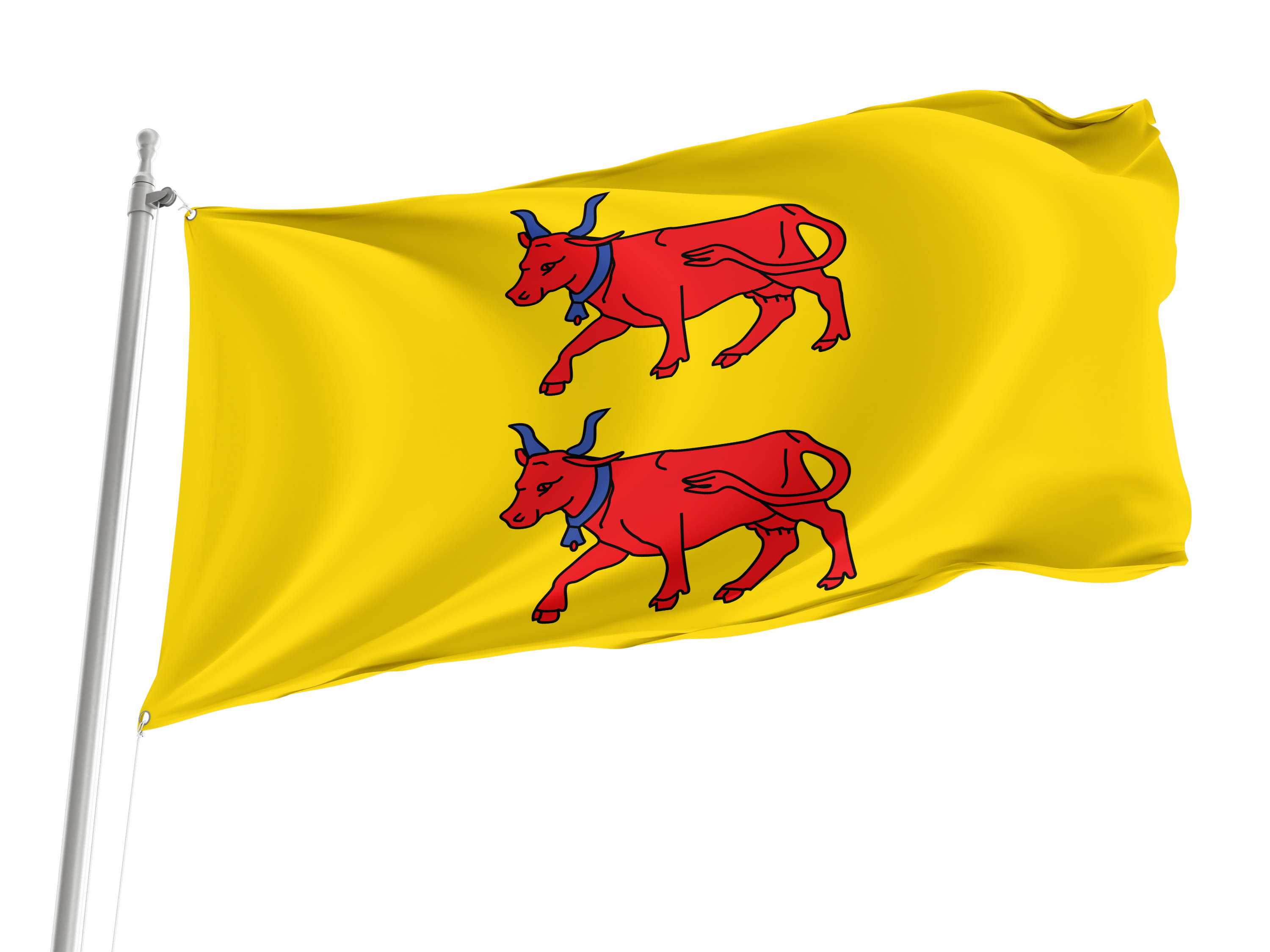 Béarn Flag for Indoor & Outdoor Use