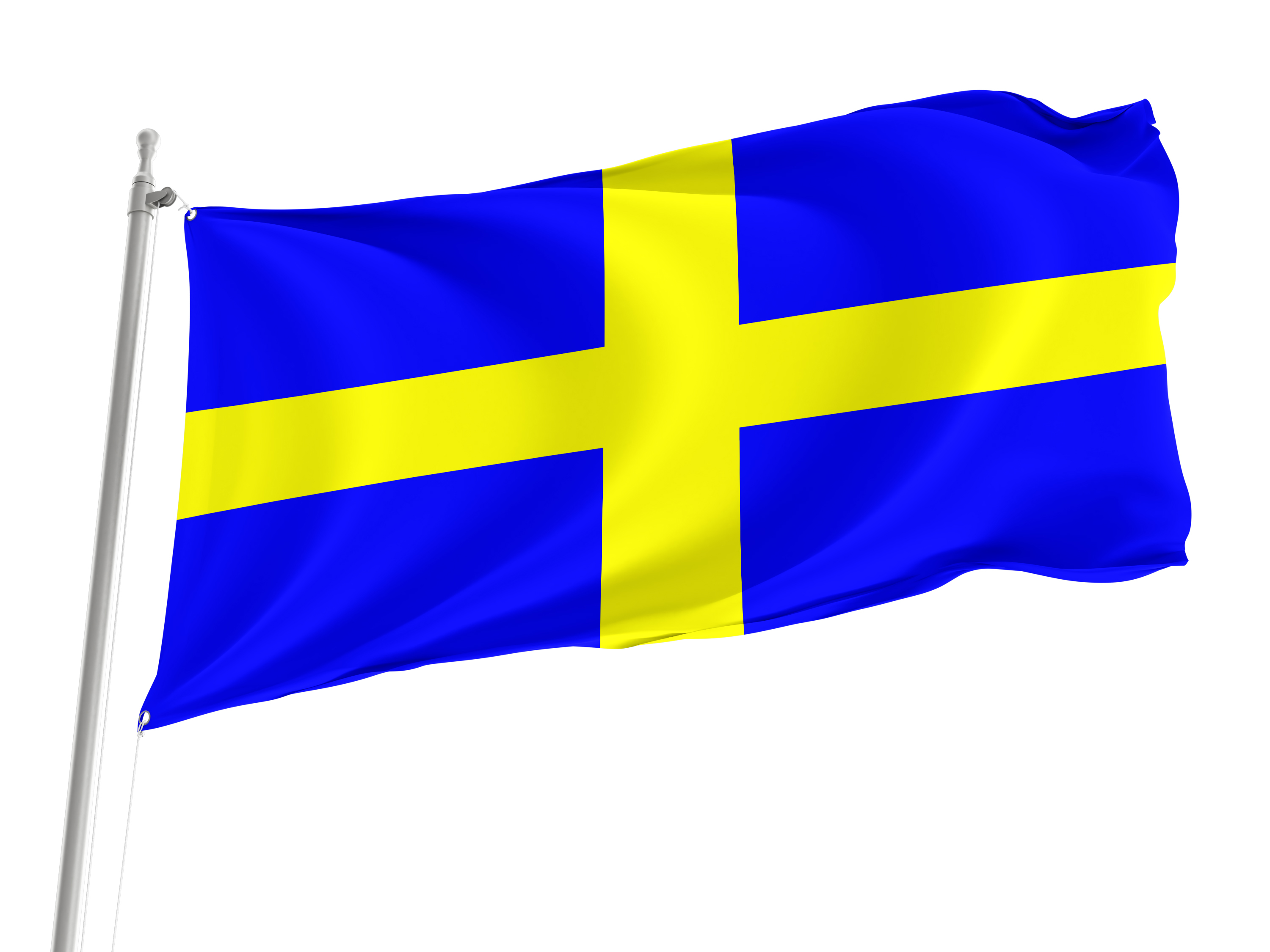 Toulon Flag for Indoor & Outdoor Use