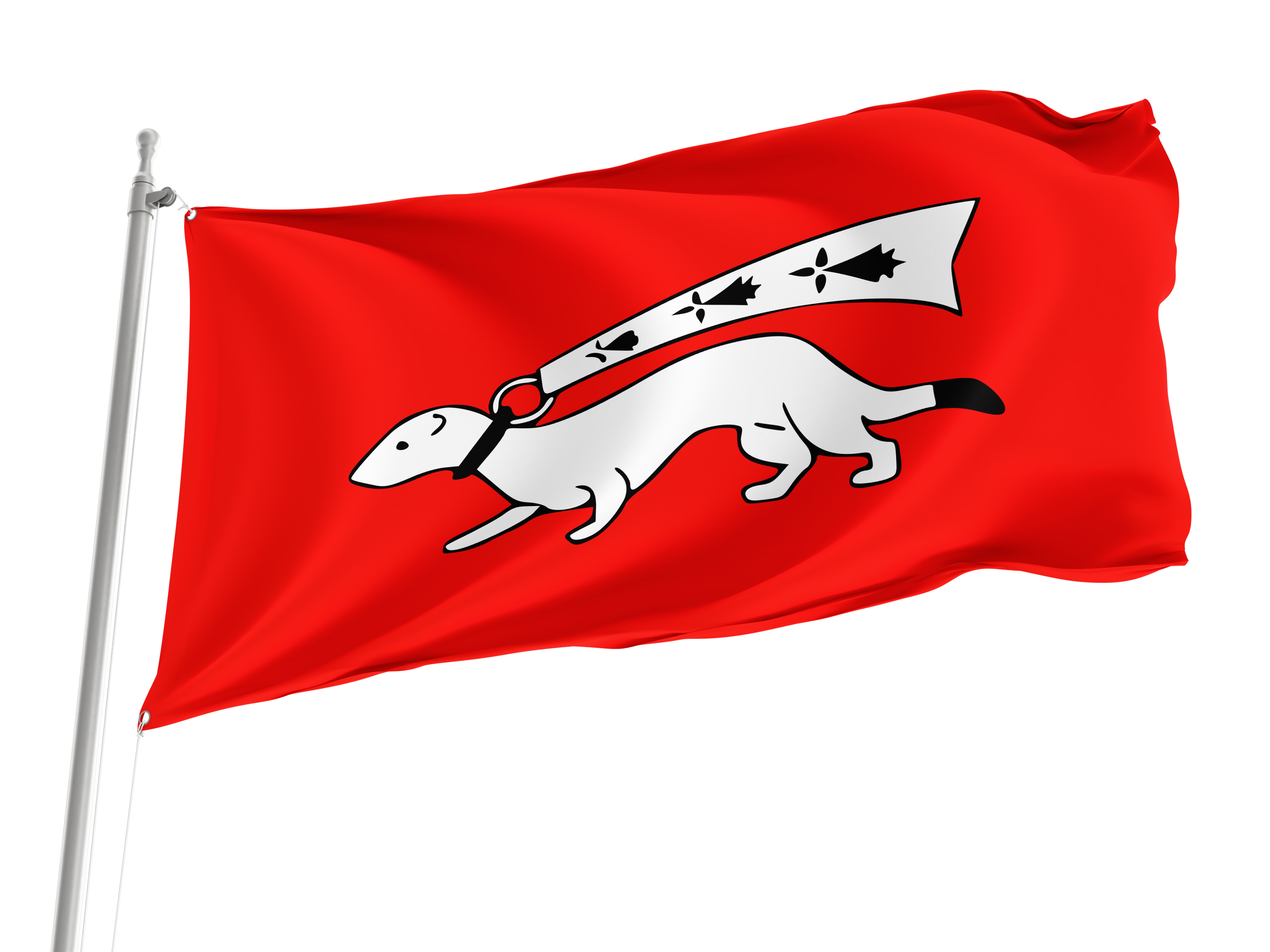 Vannes Flag for Indoor & Outdoor Use