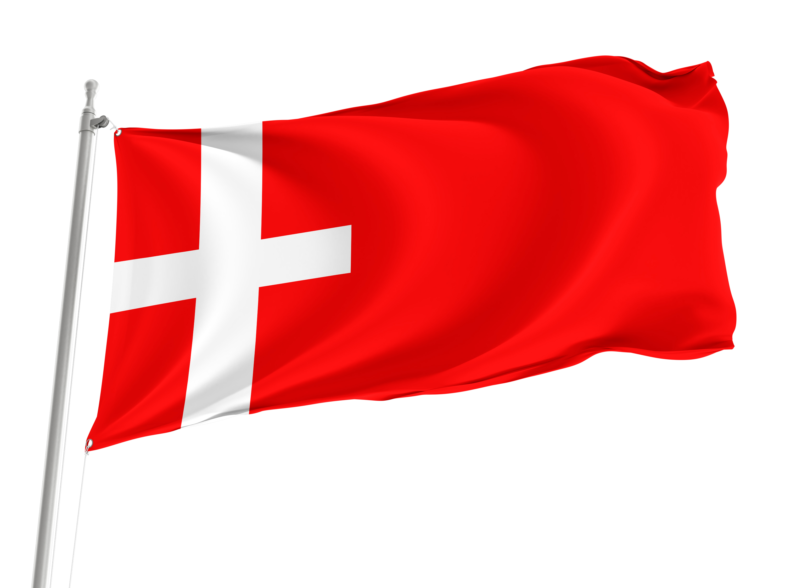 Montmélian Flag for Indoor & Outdoor Use