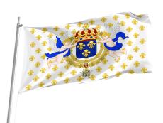 Royal Standard of the King of France Flag for Indoor & Outdoor Use