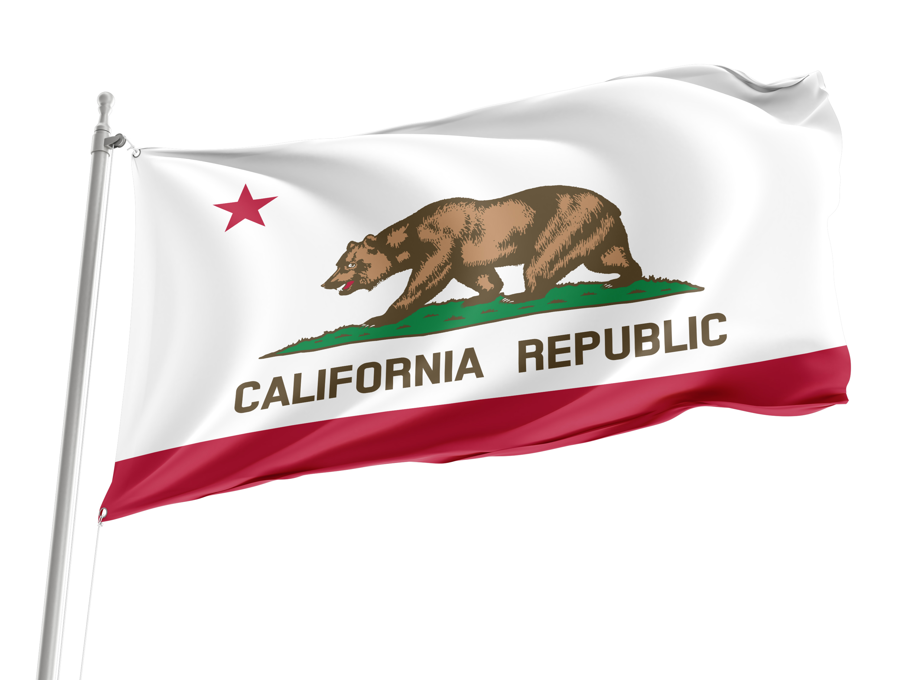 California State Flag for Indoor & Outdoor Use