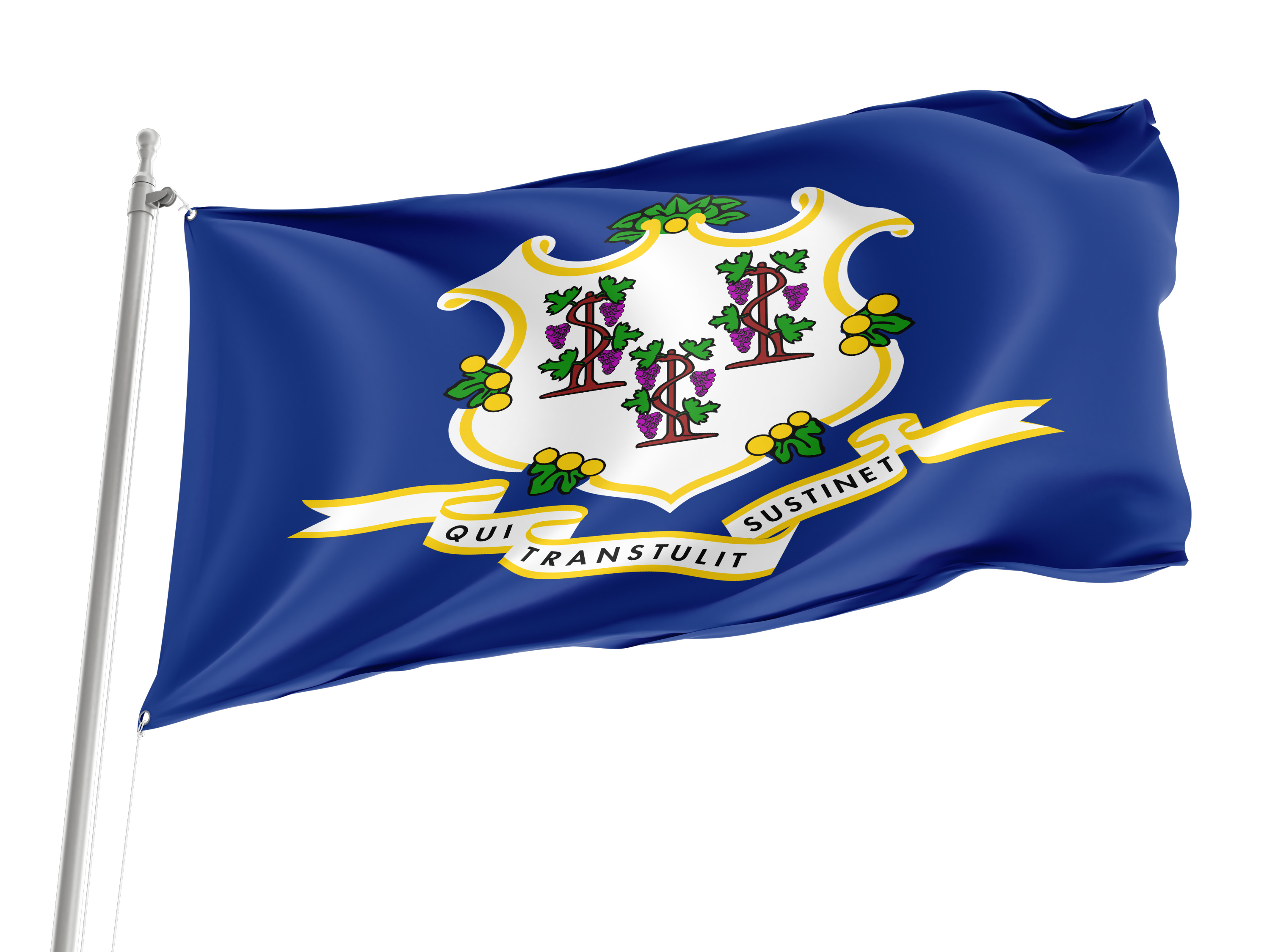 Connecticut State Flag for Indoor & Outdoor Use
