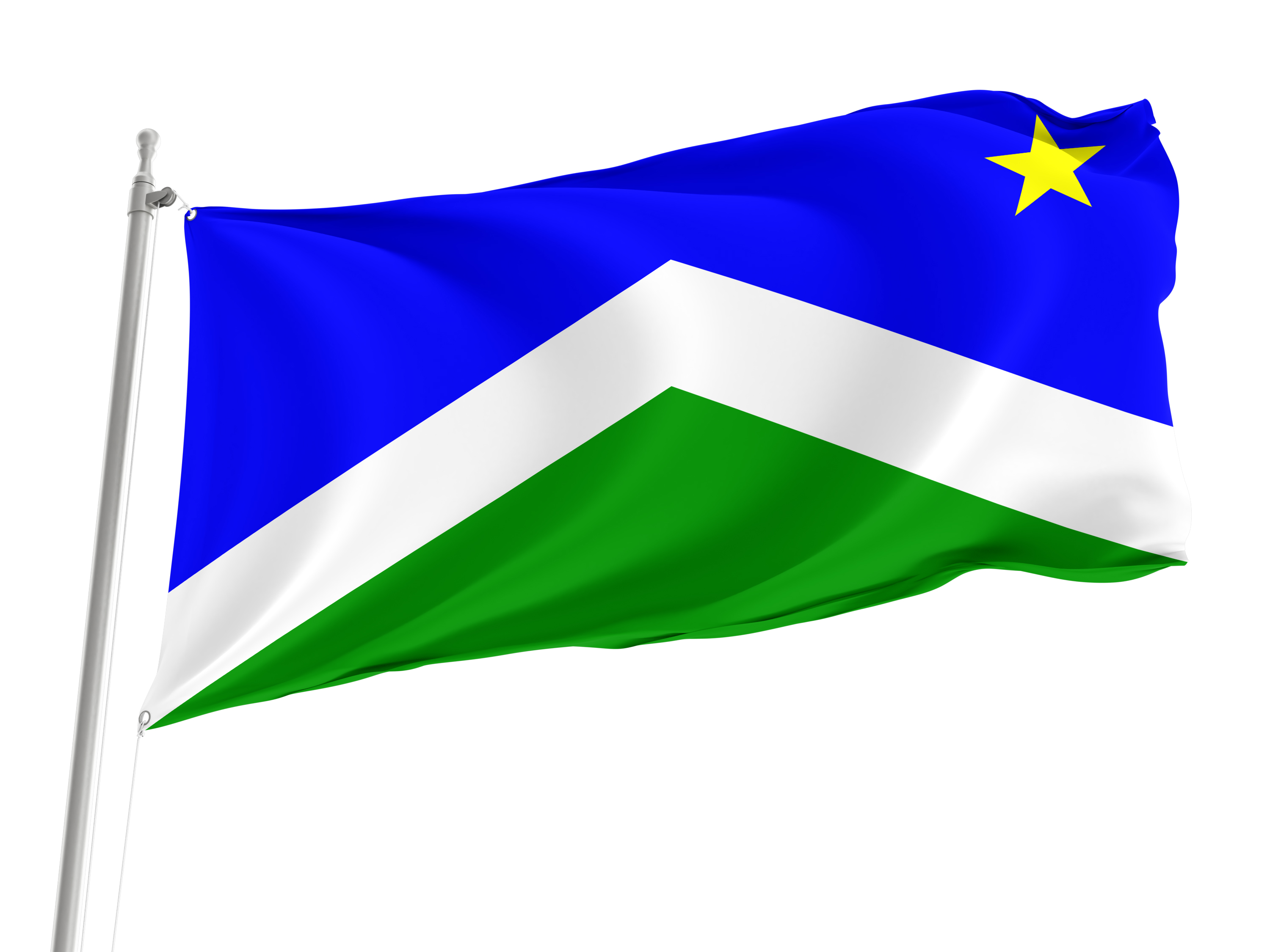 Seward Flag for Indoor & Outdoor Use