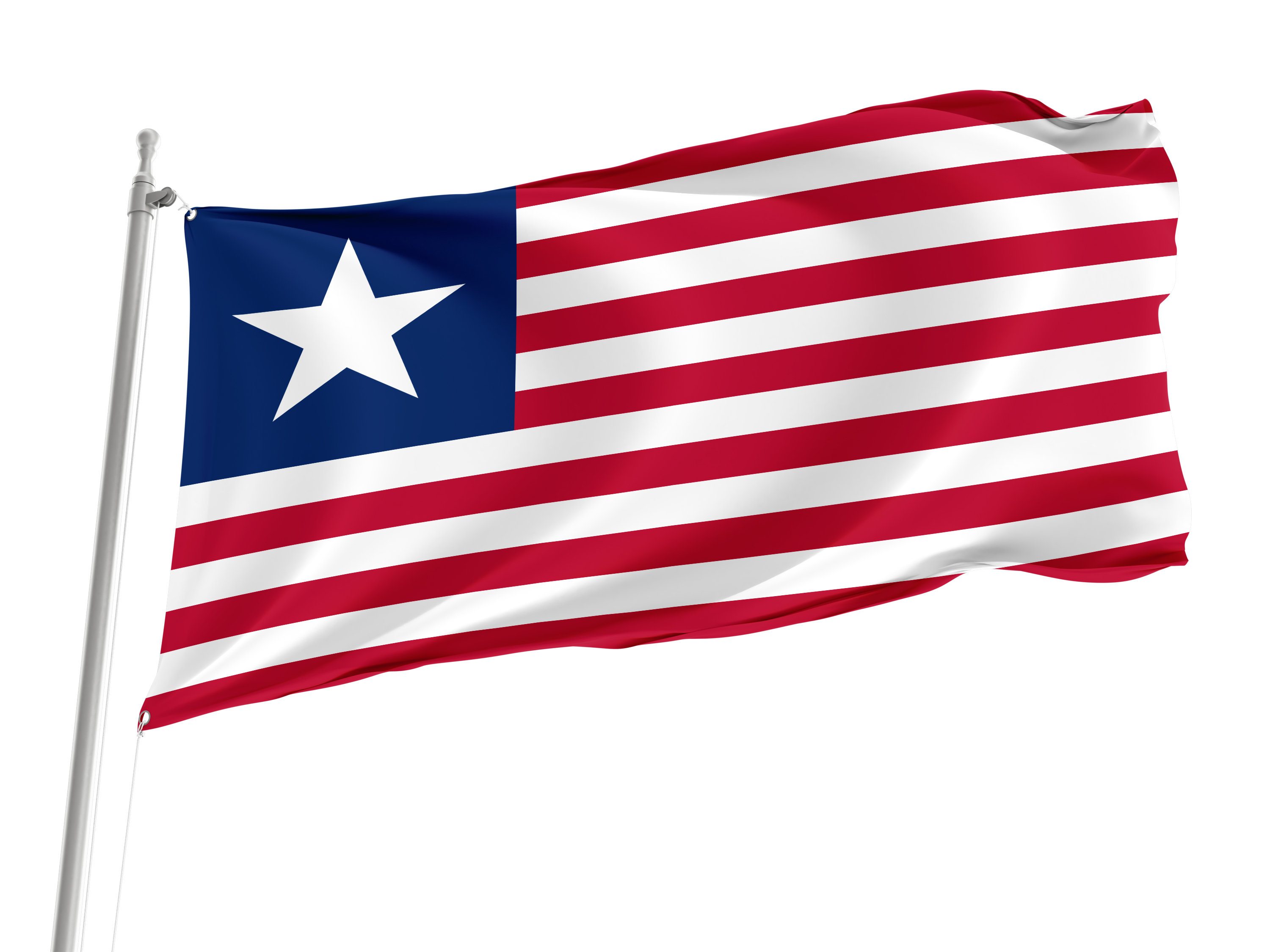 Florida Provisional 1861 Flag for Indoor & Outdoor Use