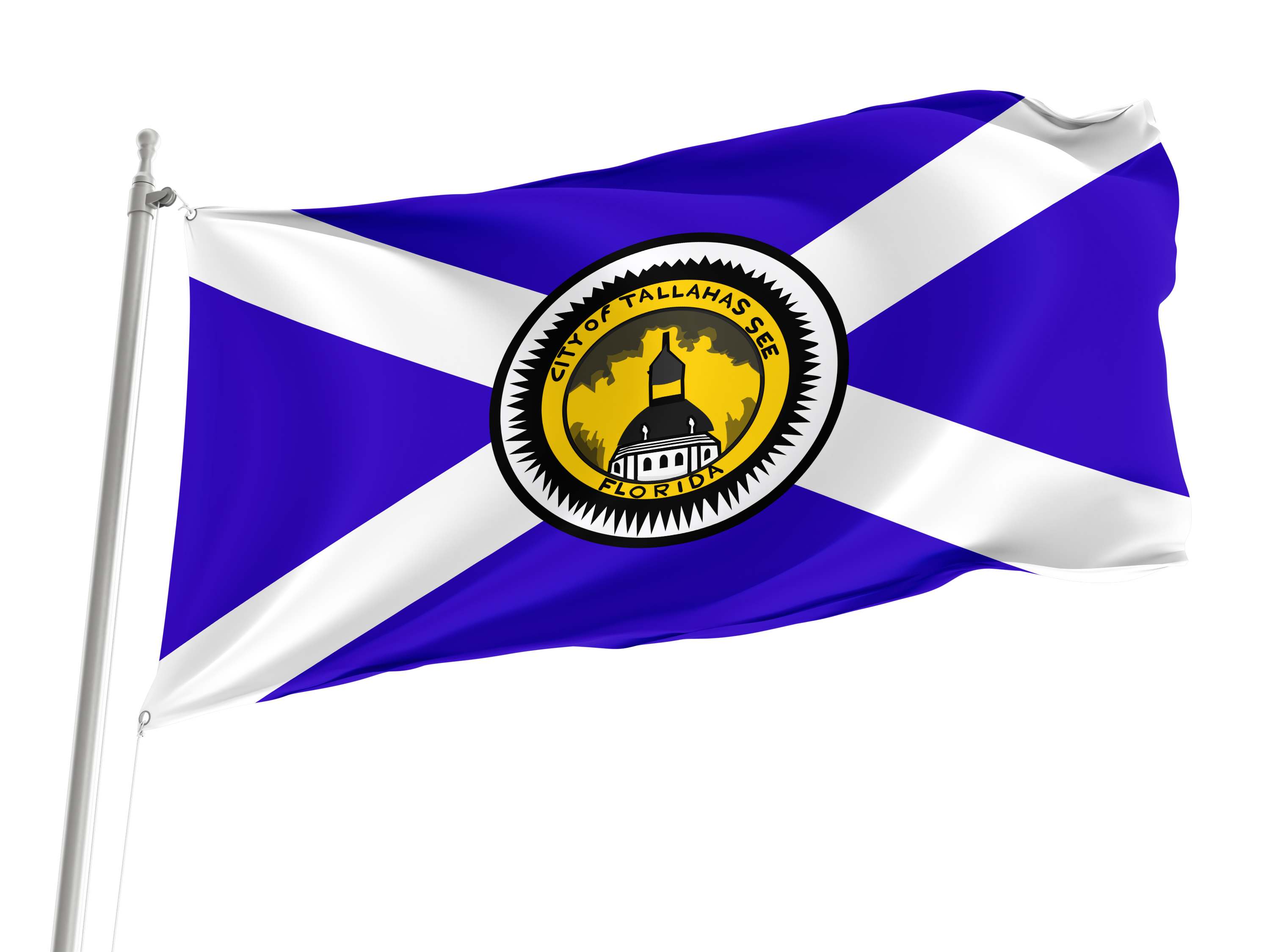 Tallahassee, Florida Flag for Indoor & Outdoor Use