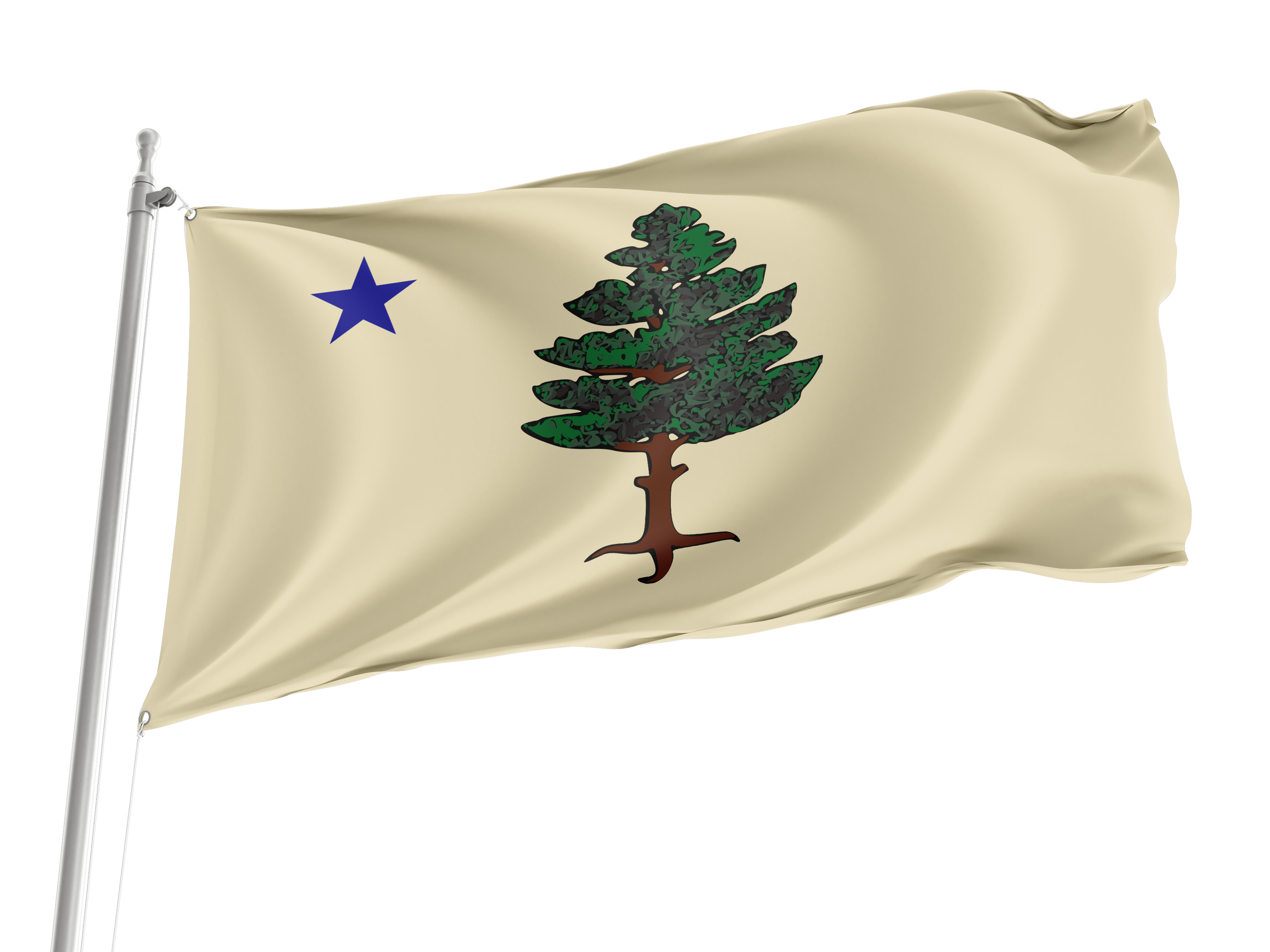 Maine 1901 to 1909 Flag for Indoor & Outdoor Use