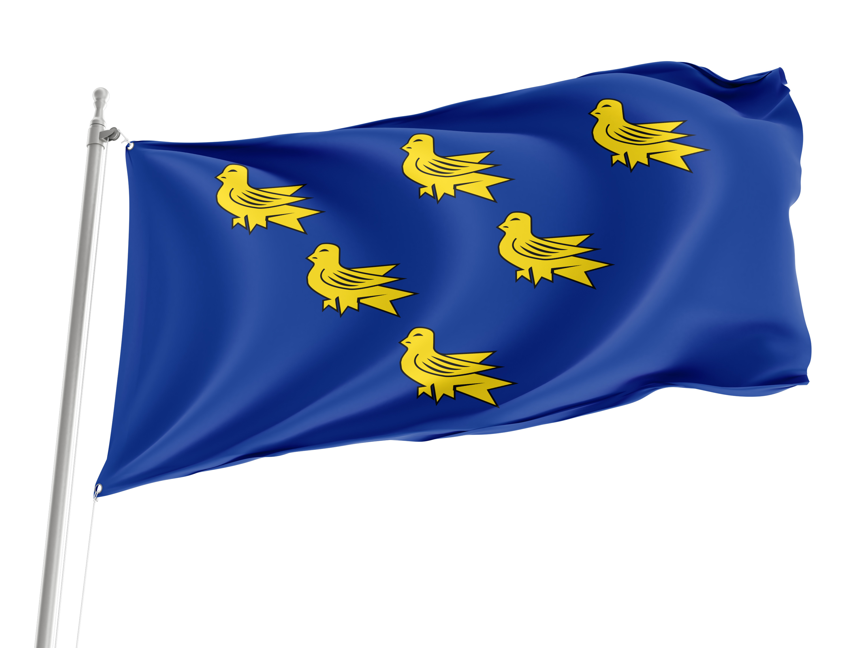 West Sussex Flag for Indoor & Outdoor Use