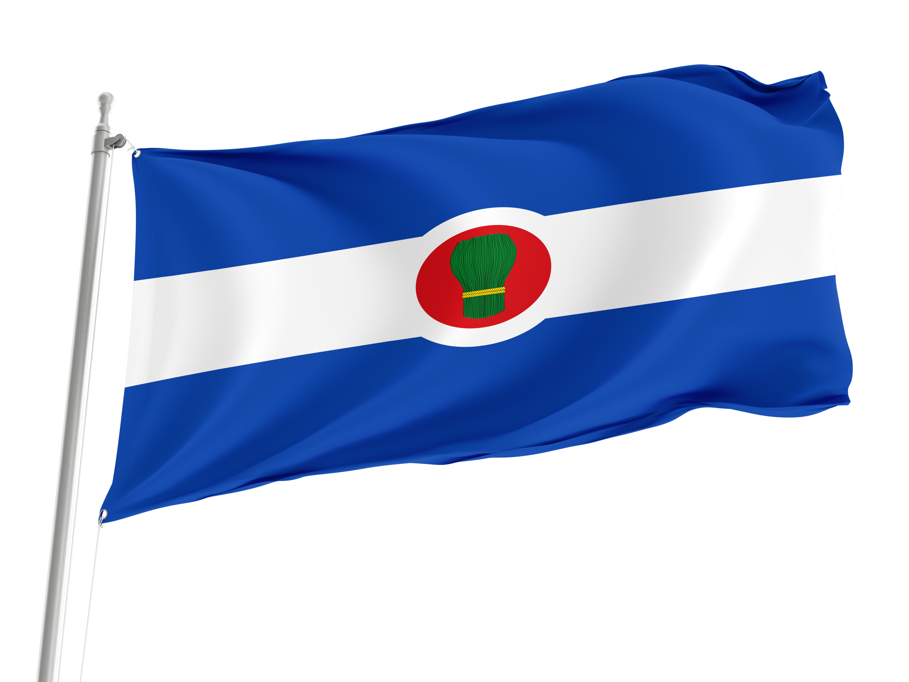 Bagüés Flag for Indoor & Outdoor Use