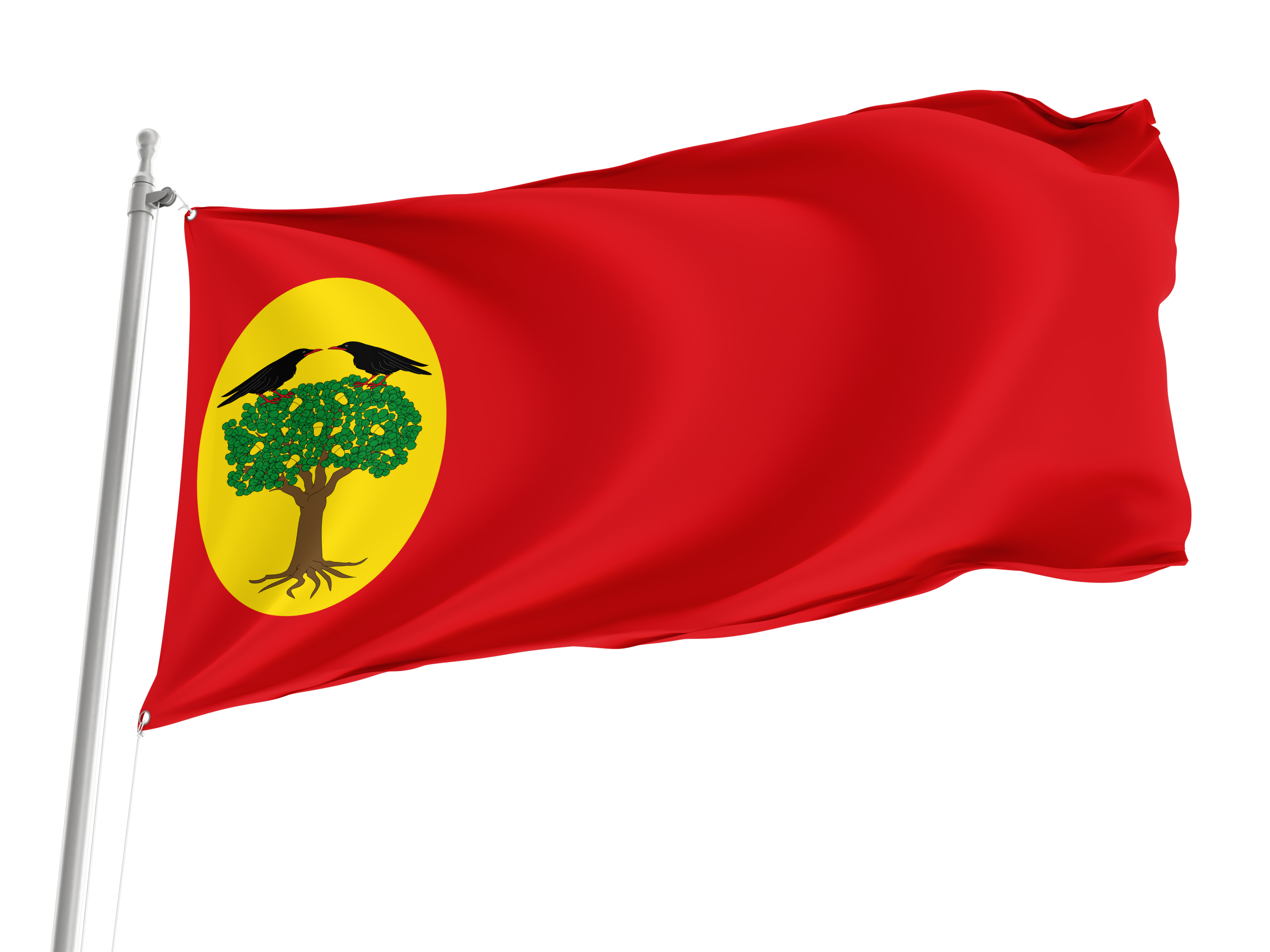 Leciñena Flag for Indoor & Outdoor Use