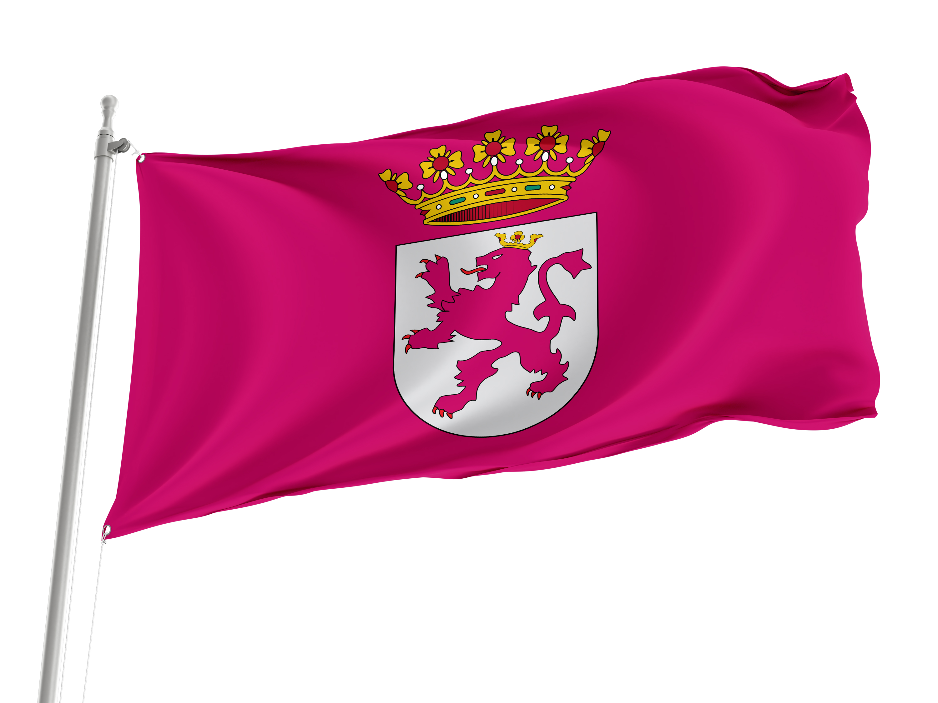 Leonese Country inside Spain Flag for Indoor & Outdoor Use