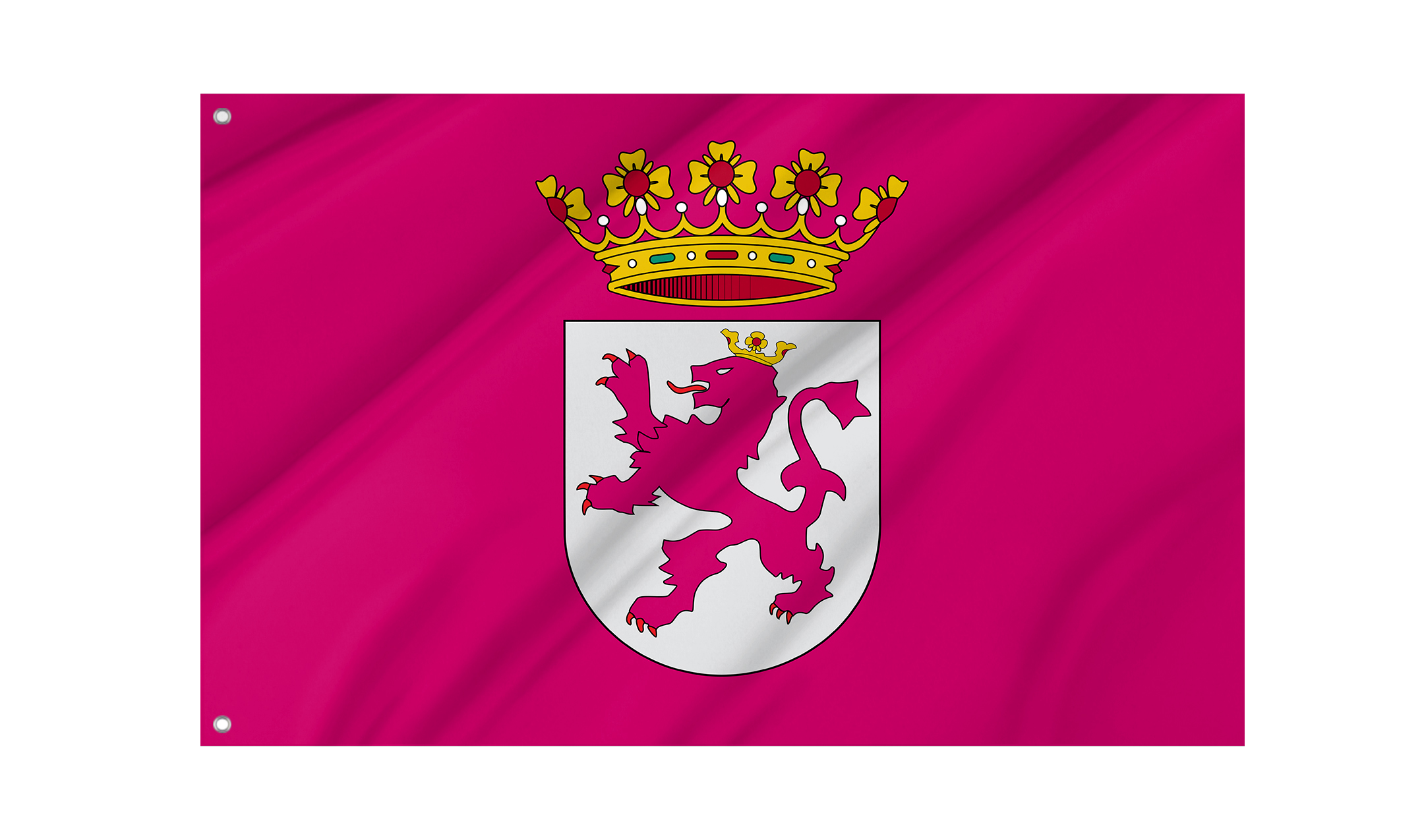 Leonese Country inside Spain Flag for Indoor & Outdoor Use