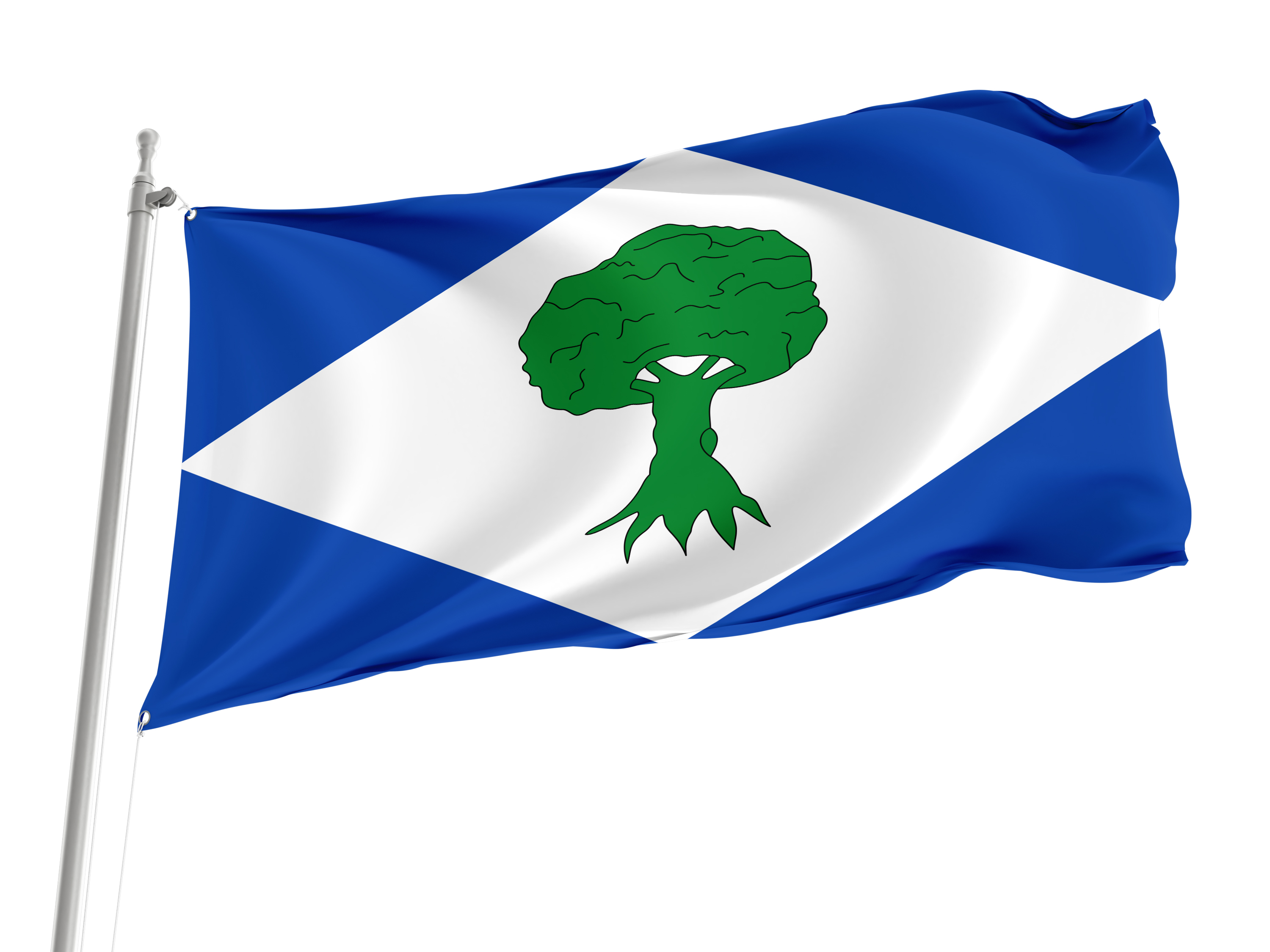 Noceda del Bierzo Flag for Indoor & Outdoor Use