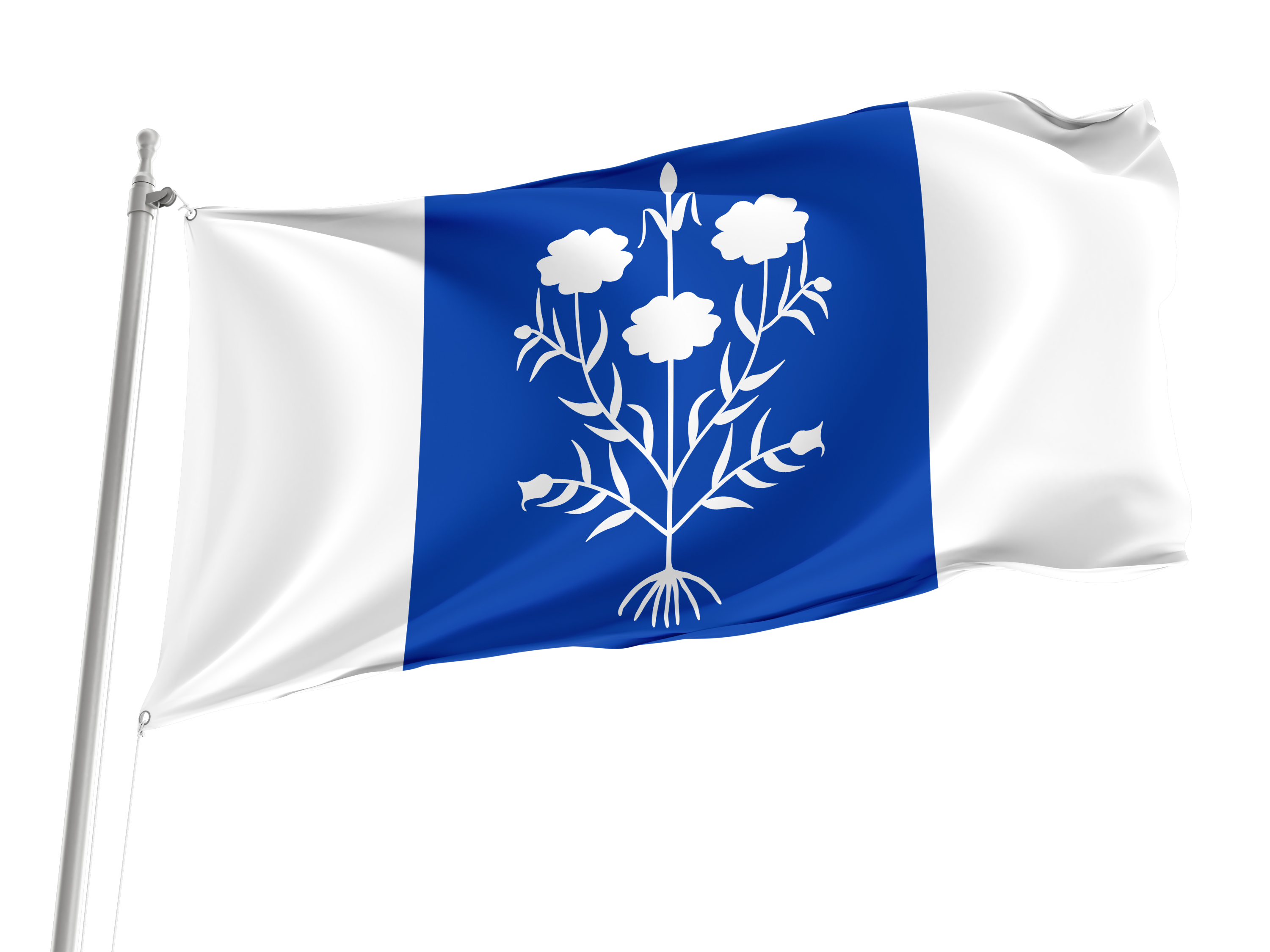 Sancedo Flag for Indoor & Outdoor Use