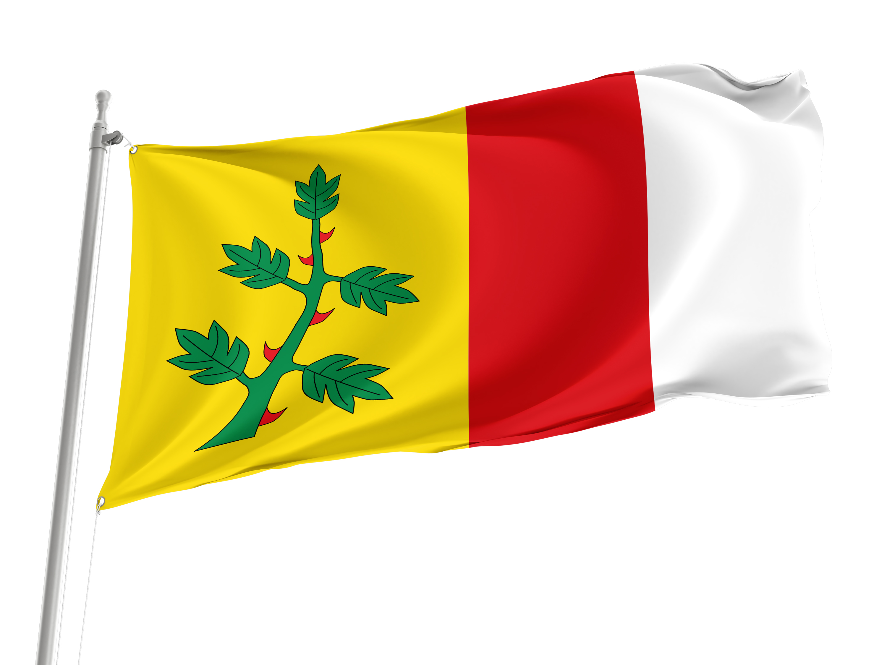 Espinosa de Villagonzalo Flag for Indoor & Outdoor Use