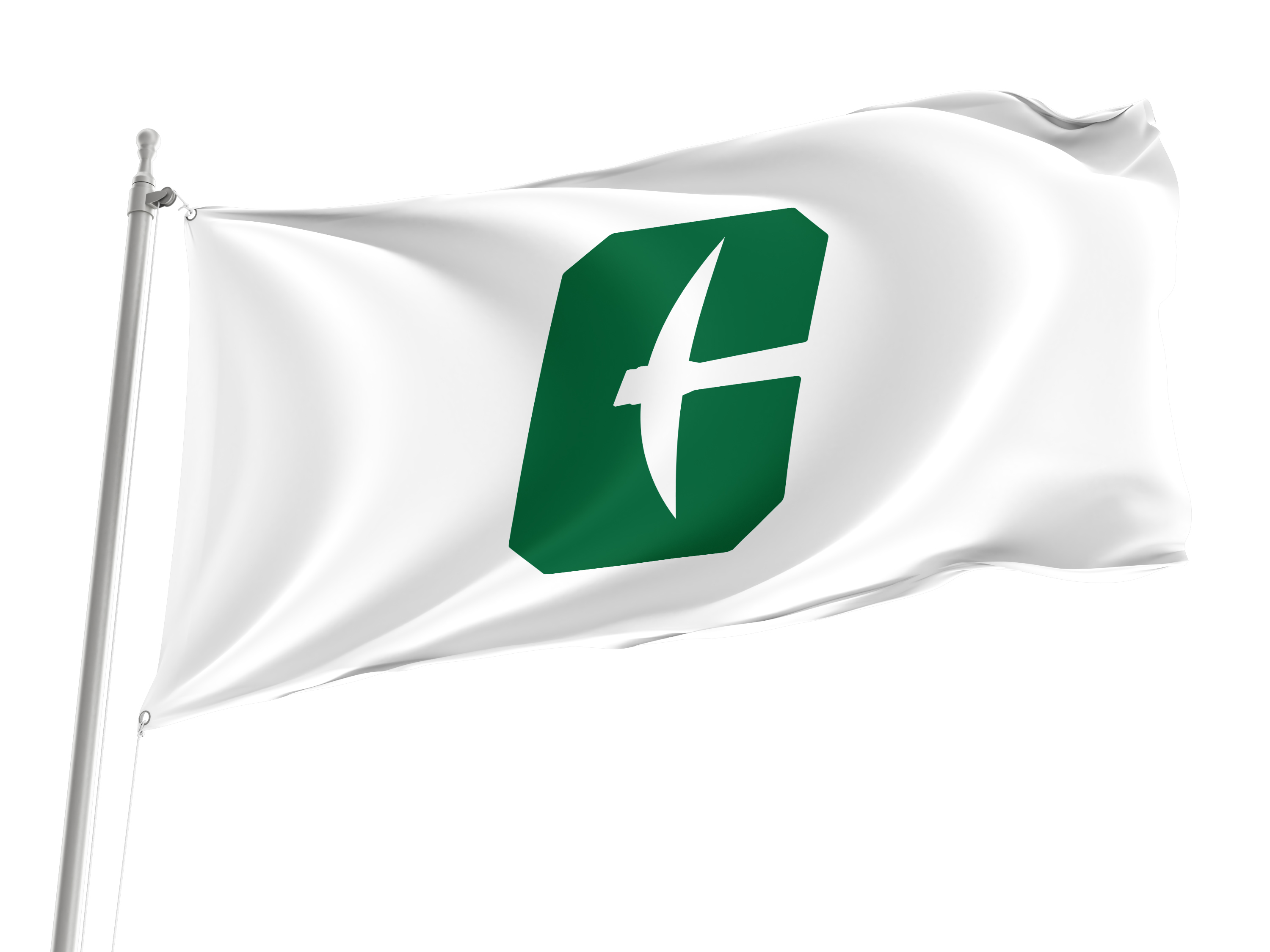 Charlotte 49ers Flag for Indoor & Outdoor Use