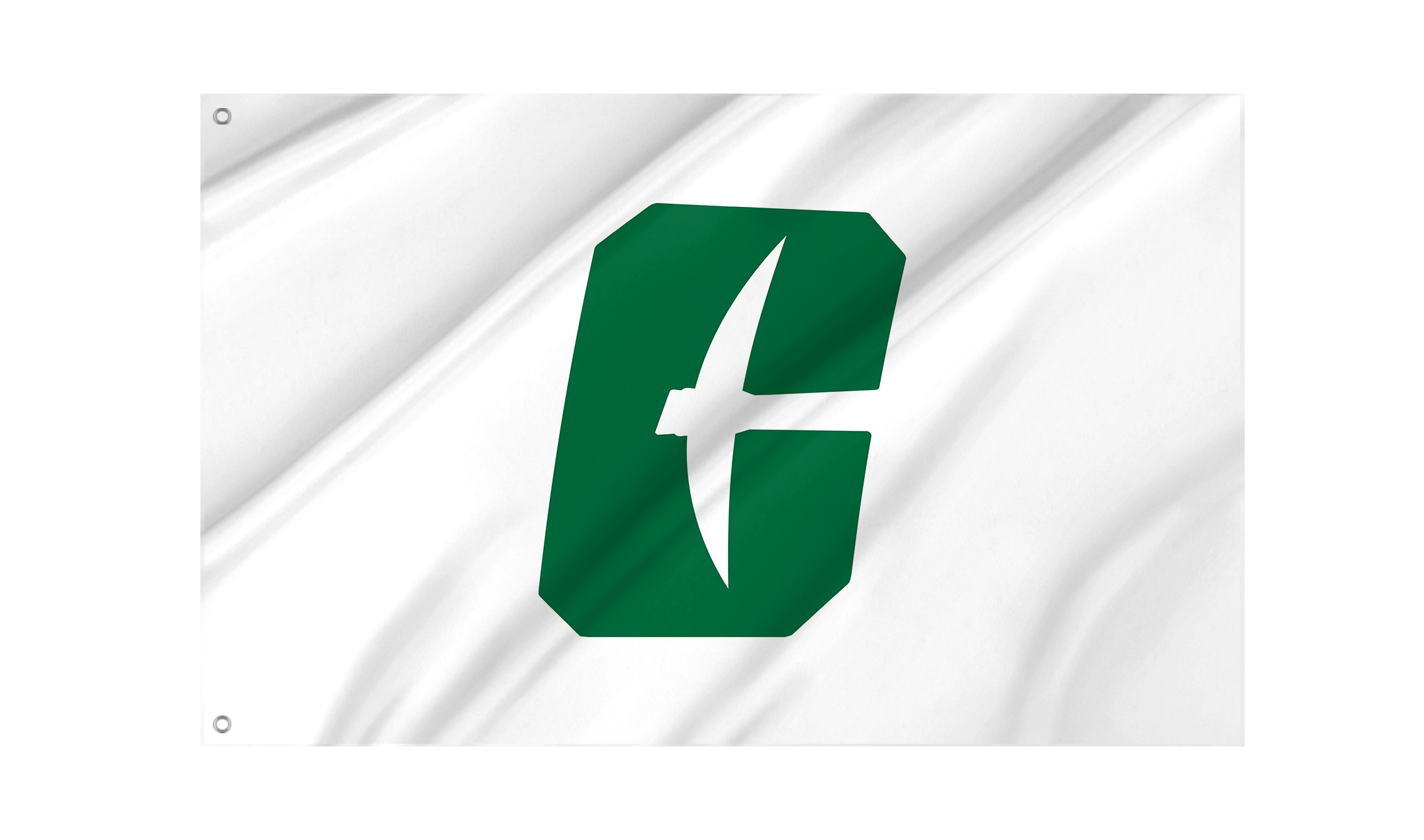 Charlotte 49ers Flag for Indoor & Outdoor Use