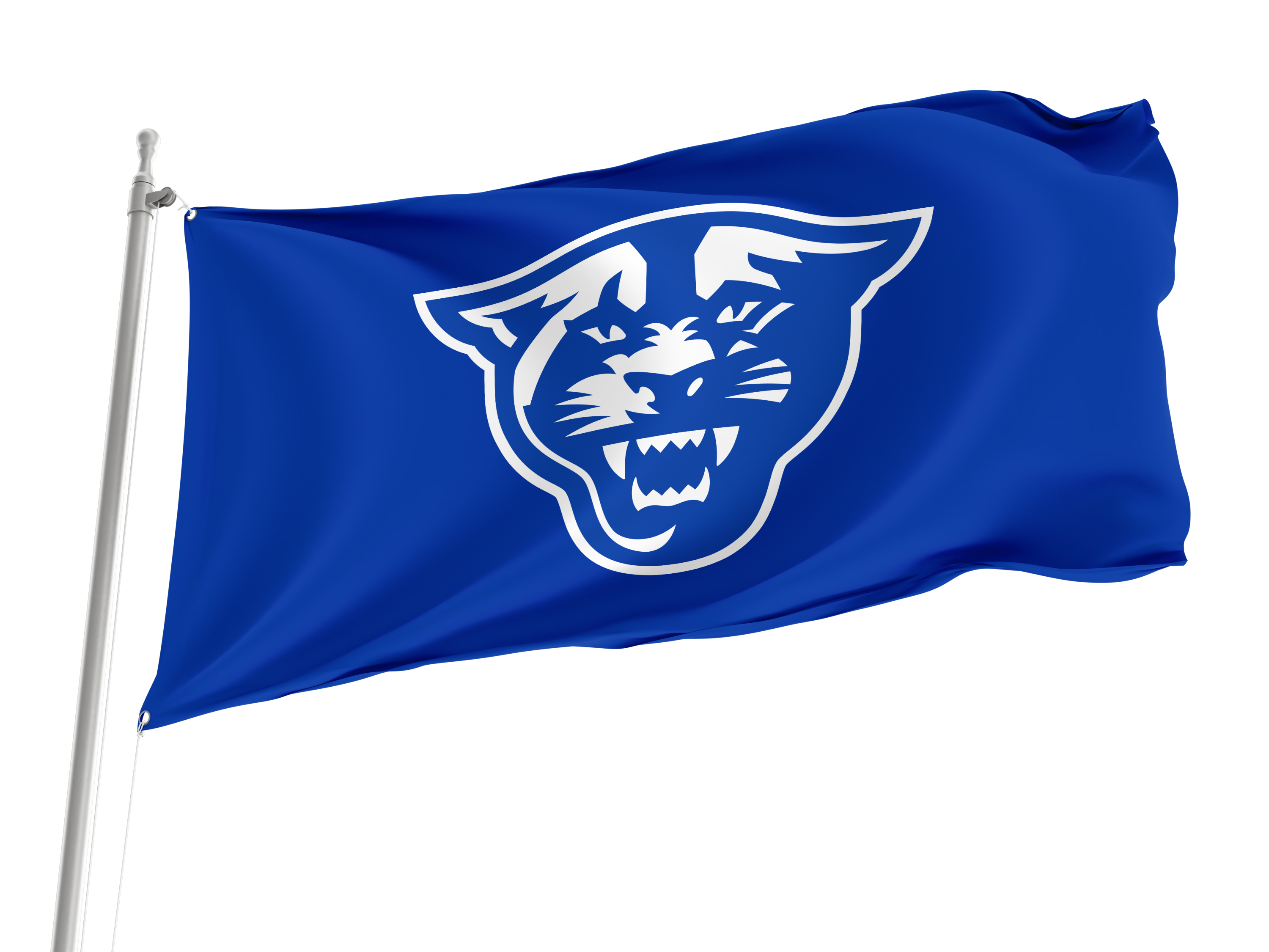 Georgia State Panthers Flag for Indoor & Outdoor Use
