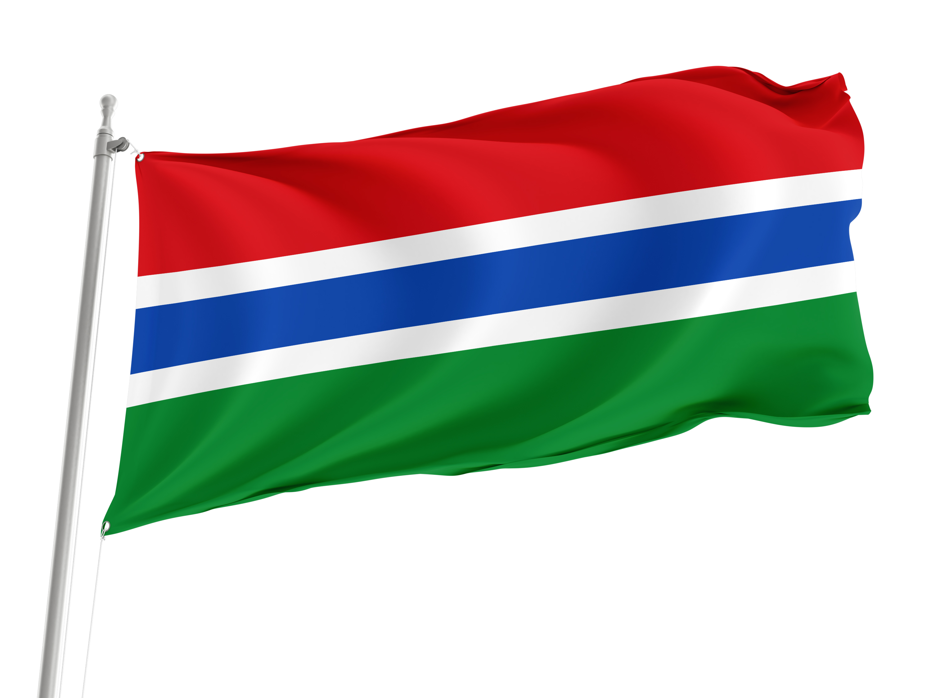 Osa de la Vega Flag for Indoor & Outdoor Use