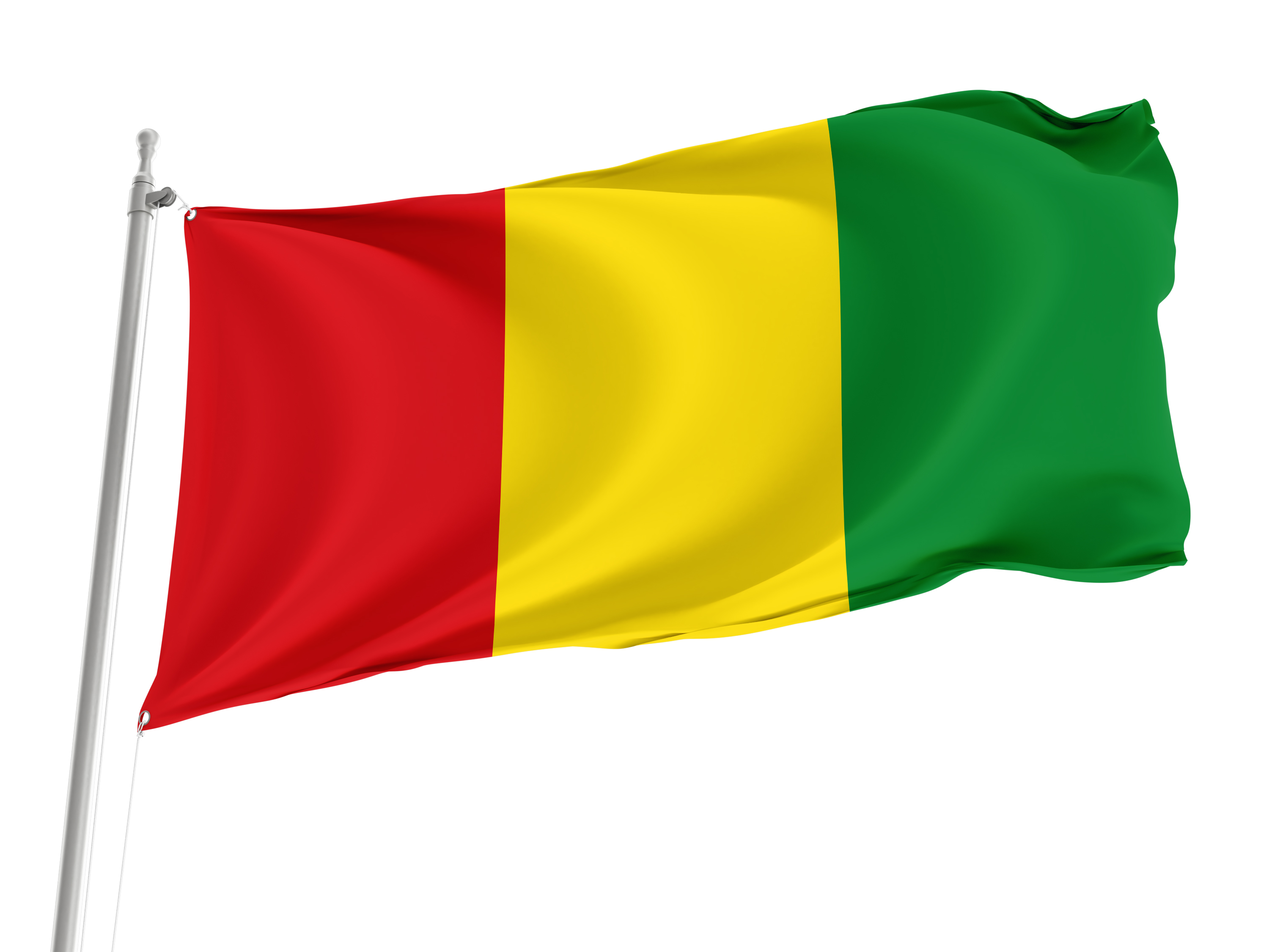 Novés Flag for Indoor & Outdoor Use