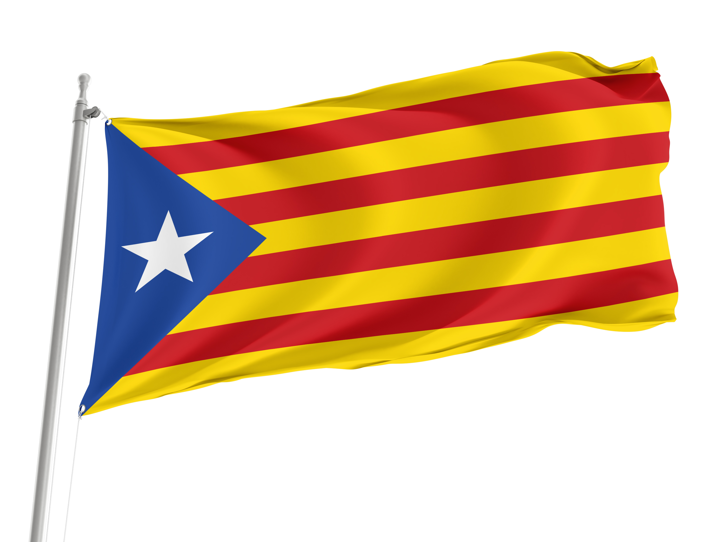 Estelada Flag for Indoor & Outdoor Use