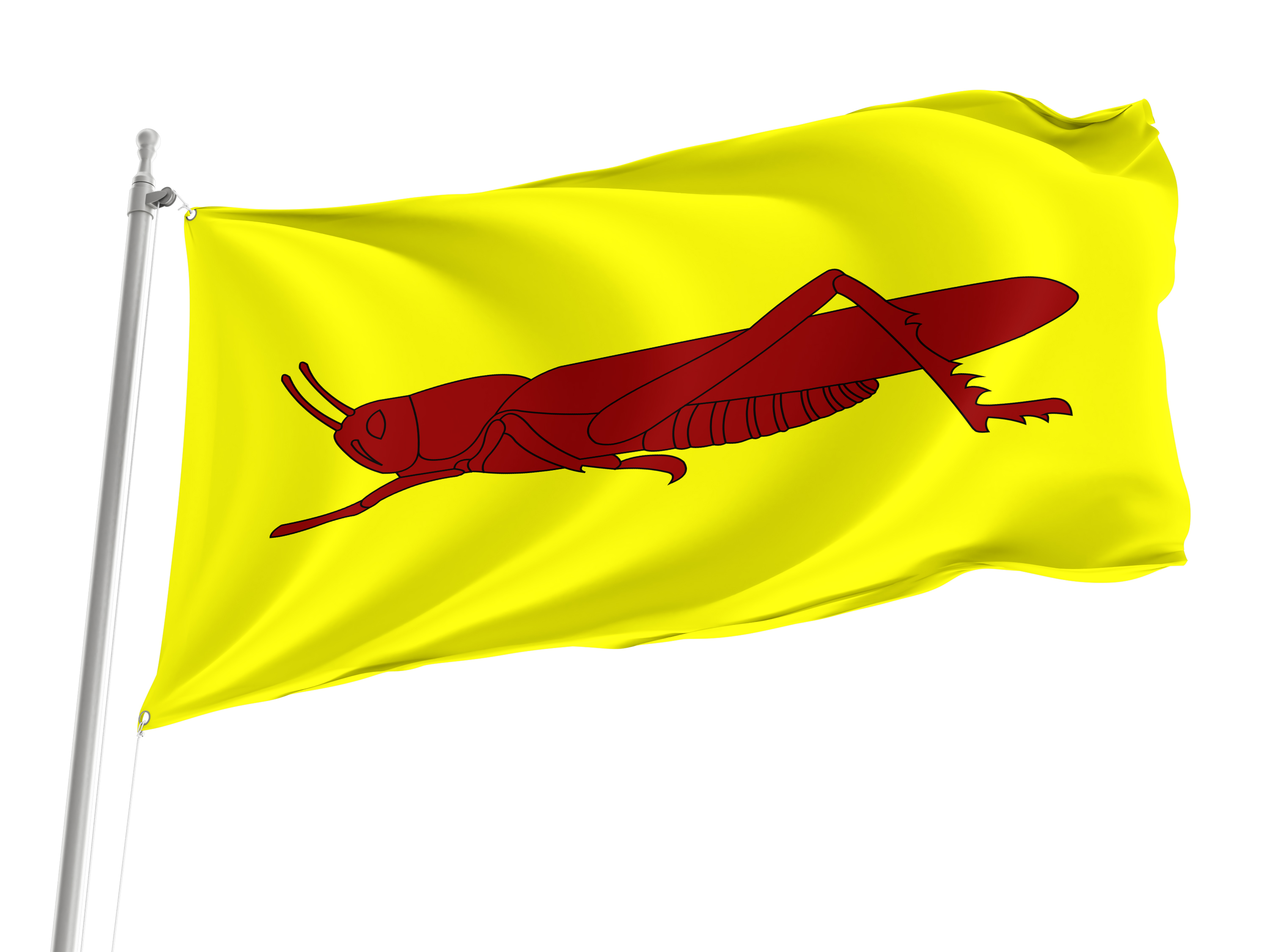 La Llagosta Flag for Indoor & Outdoor Use