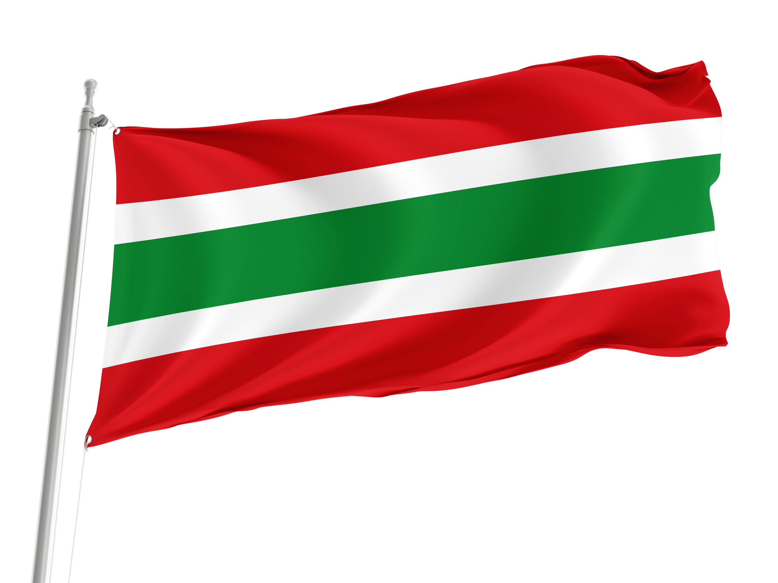 Vegaviana Flag for Indoor & Outdoor Use