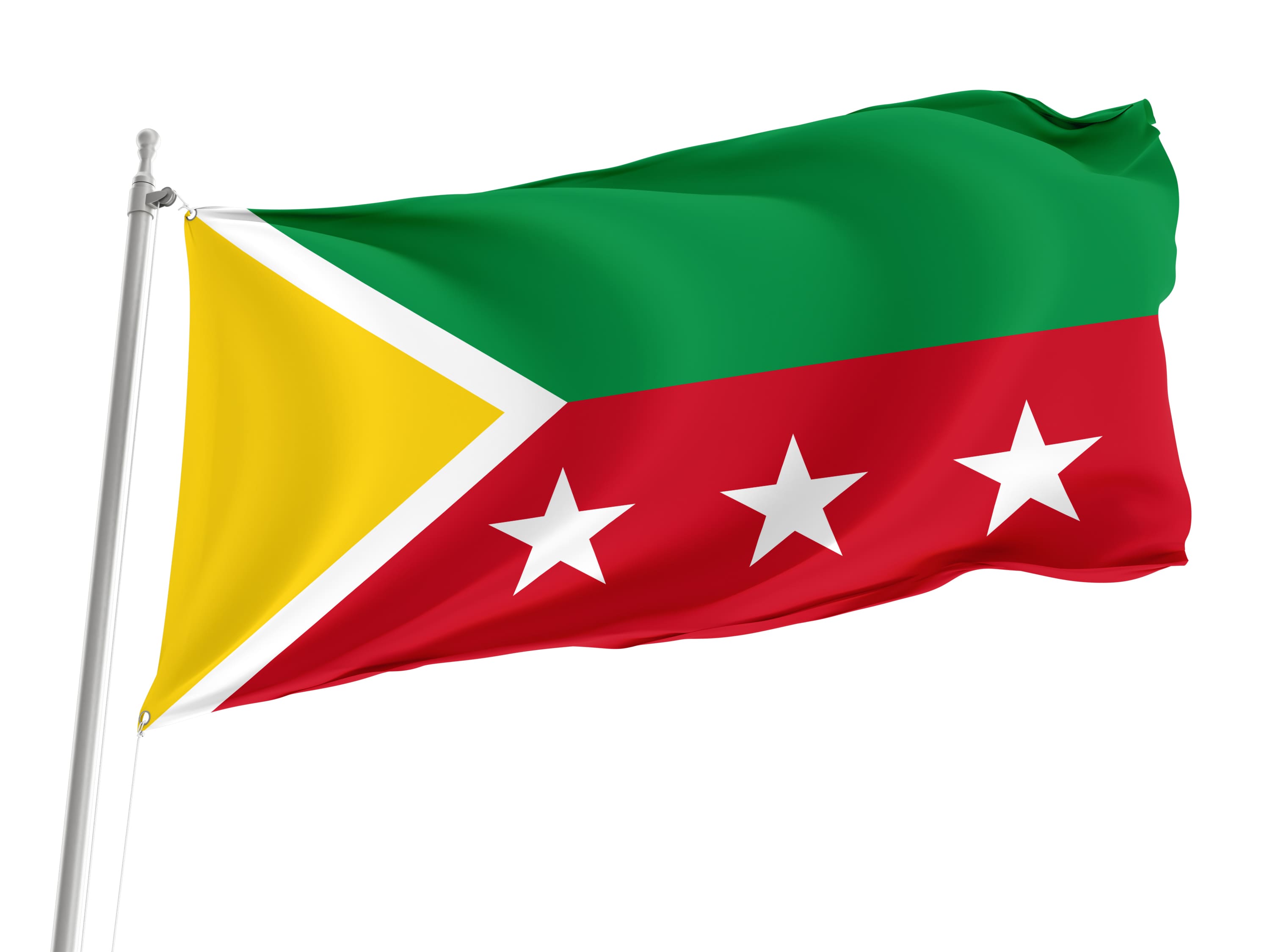 Paquisha Flag for Indoor & Outdoor Use