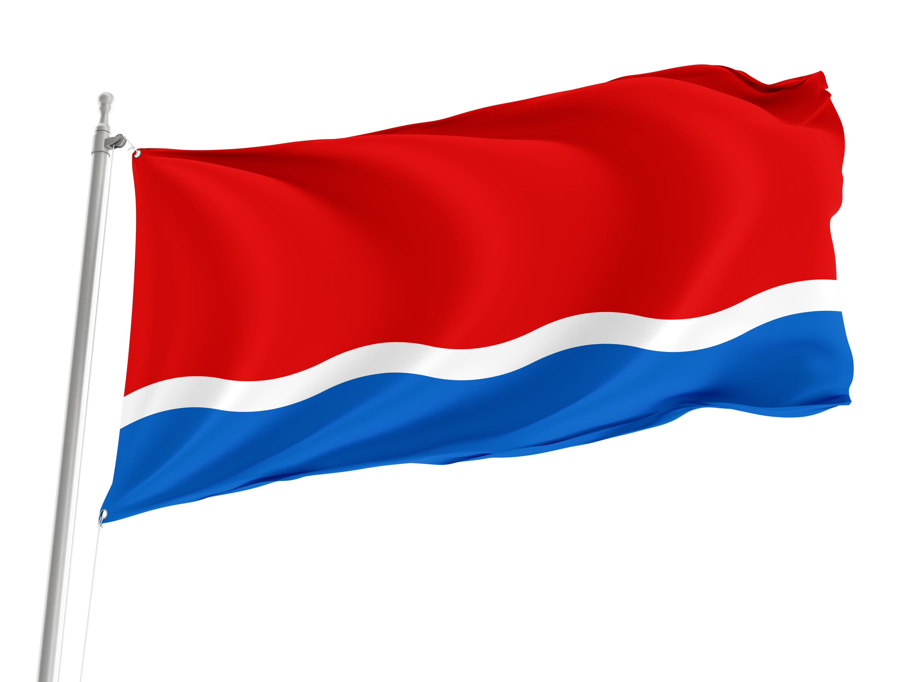 Amur Flag for Indoor & Outdoor Use